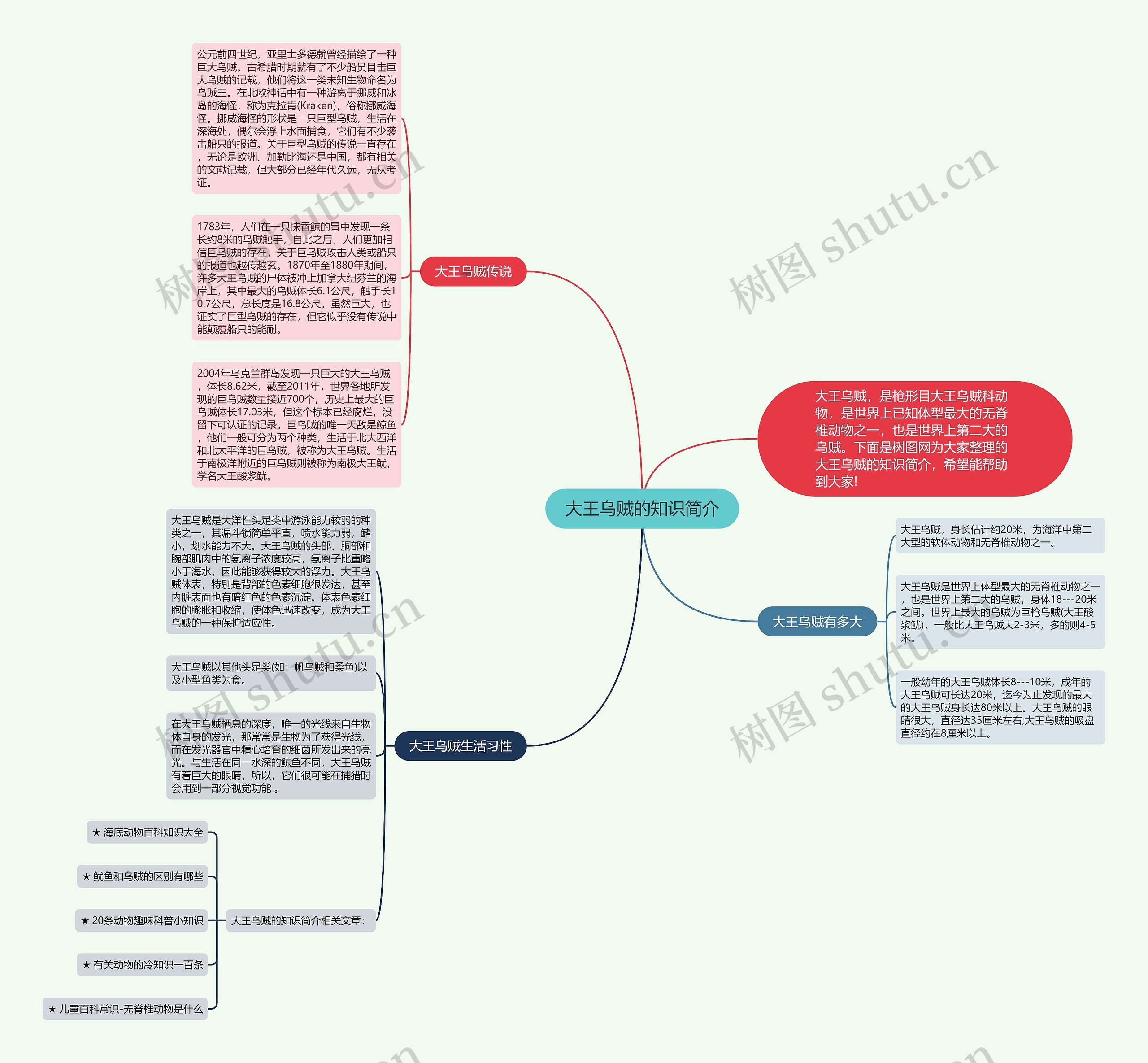 大王乌贼的知识简介思维导图