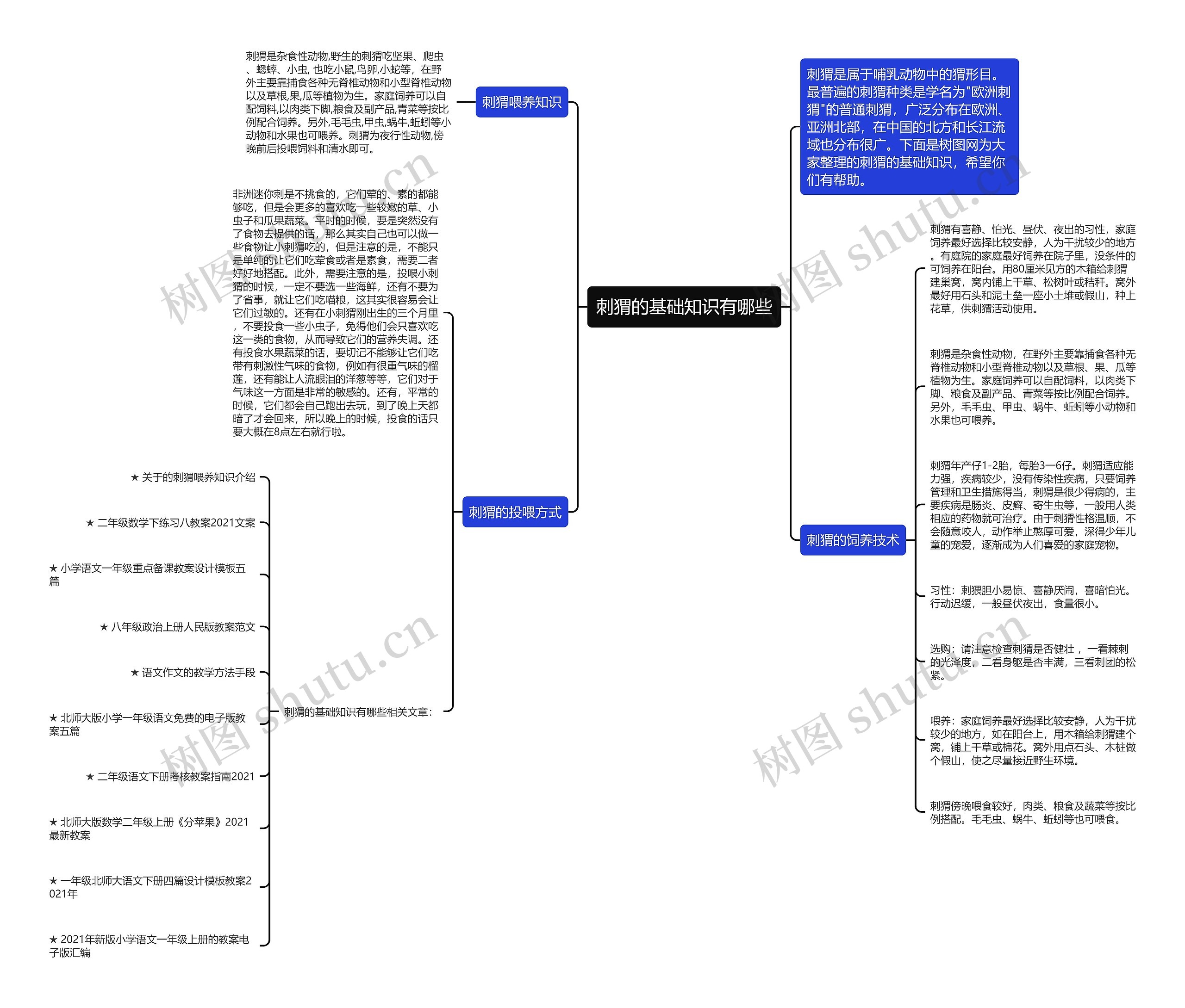刺猬的基础知识有哪些思维导图