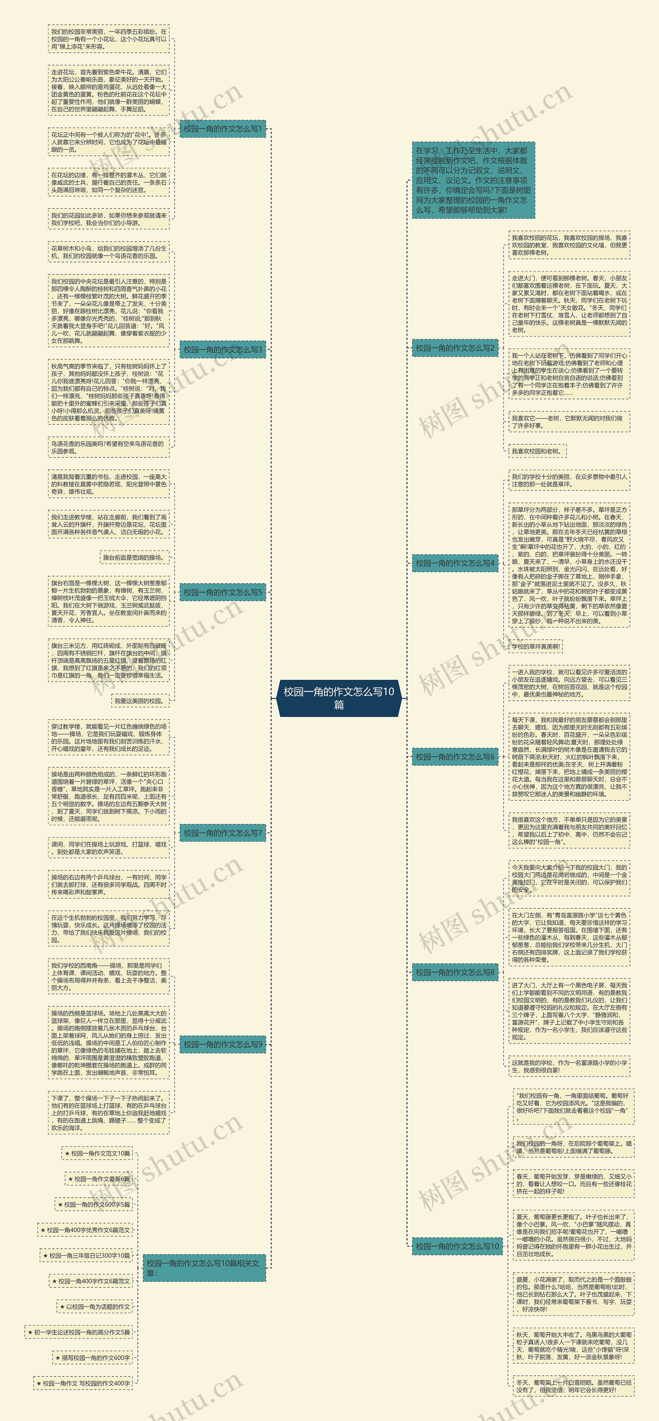 校园一角的作文怎么写10篇思维导图