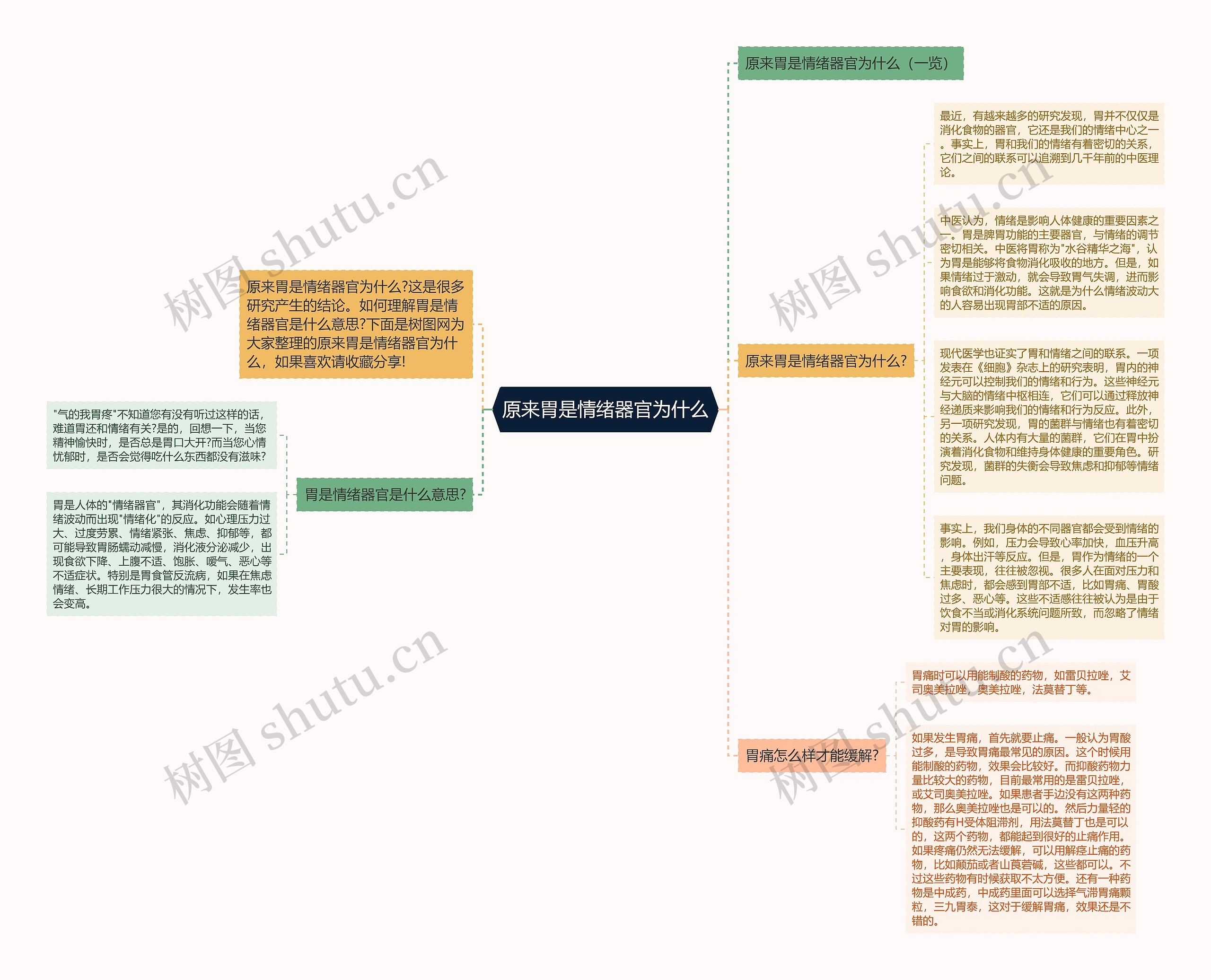 原来胃是情绪器官为什么思维导图