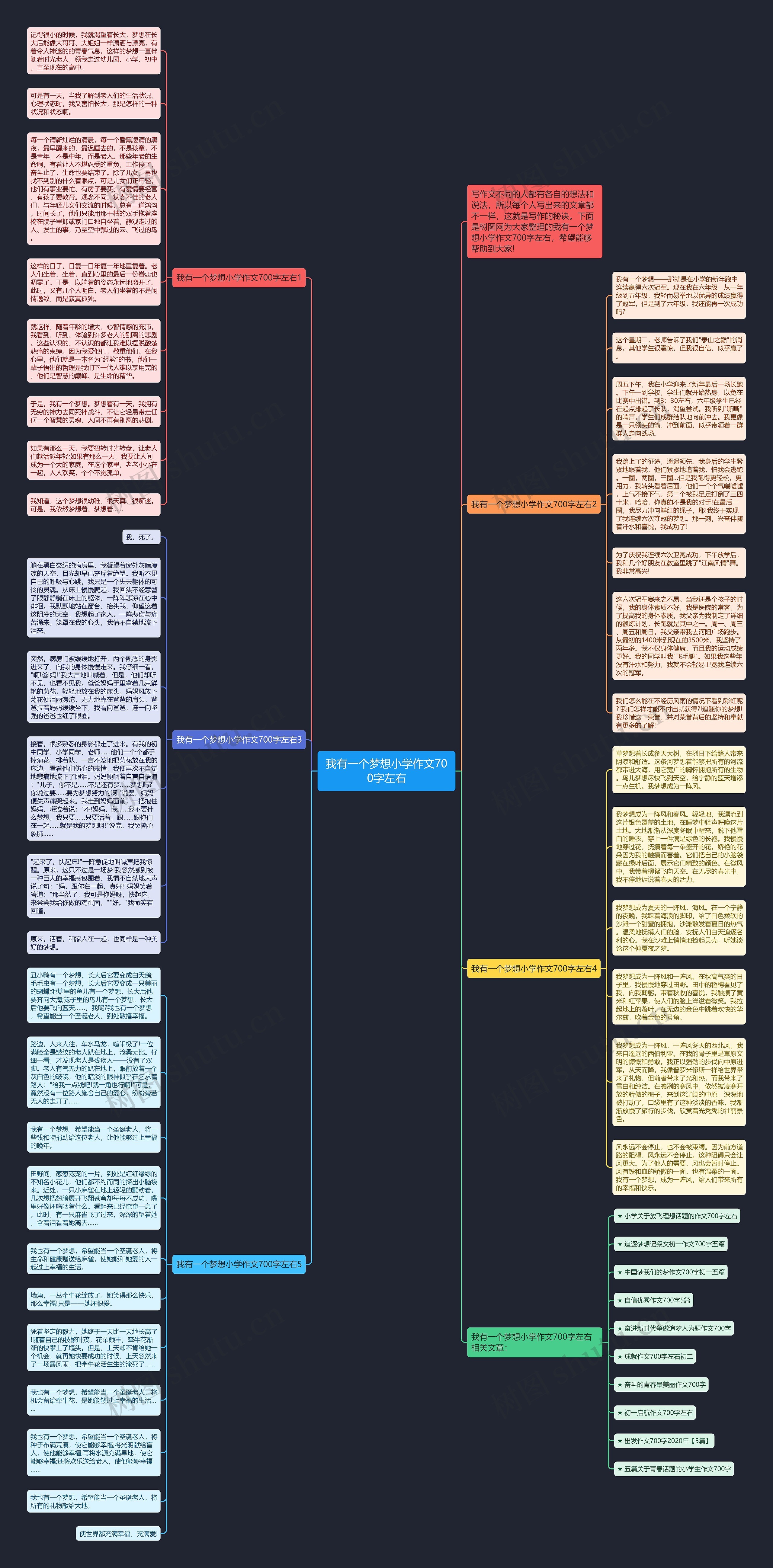 我有一个梦想小学作文700字左右思维导图