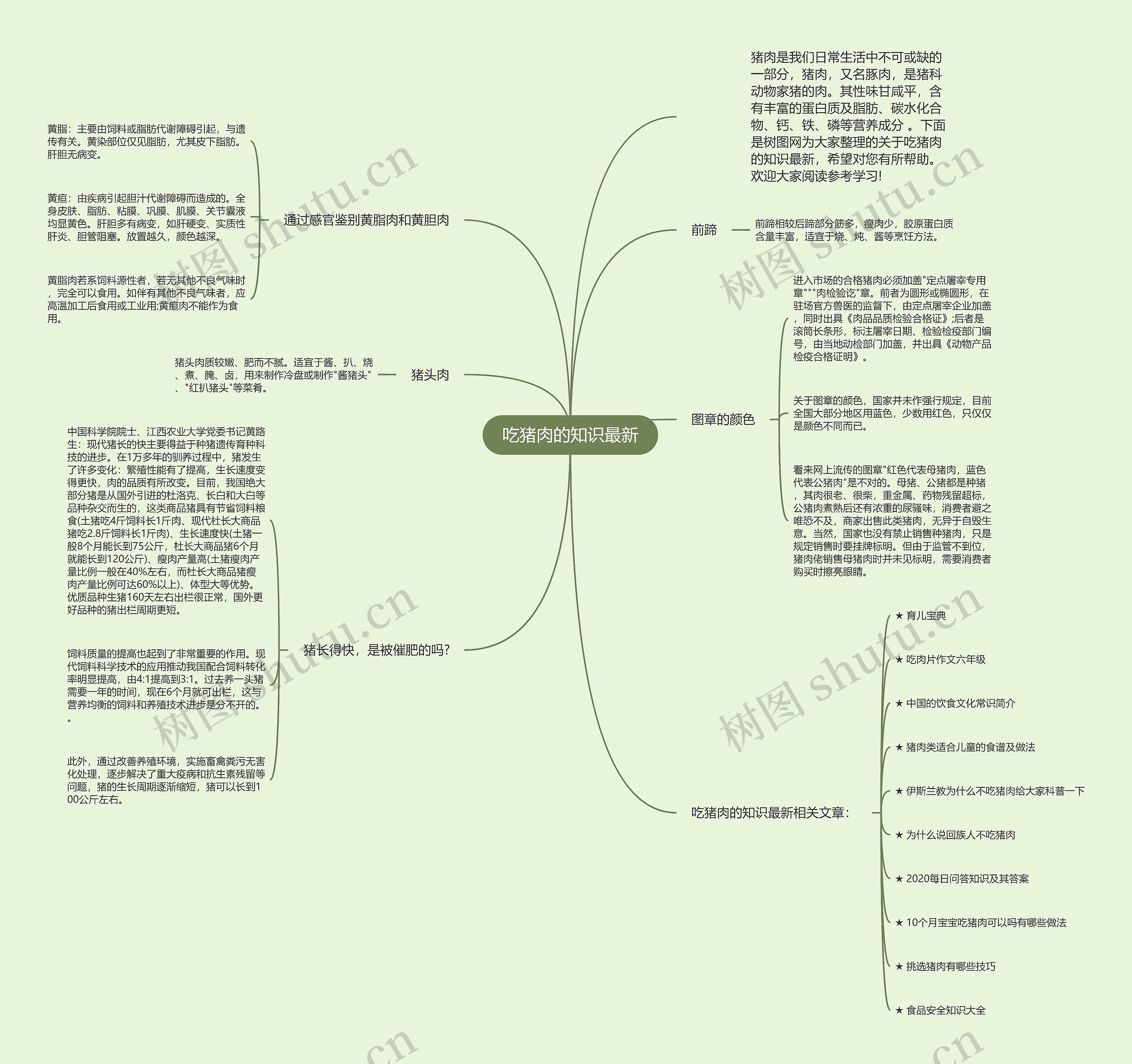 吃猪肉的知识最新思维导图