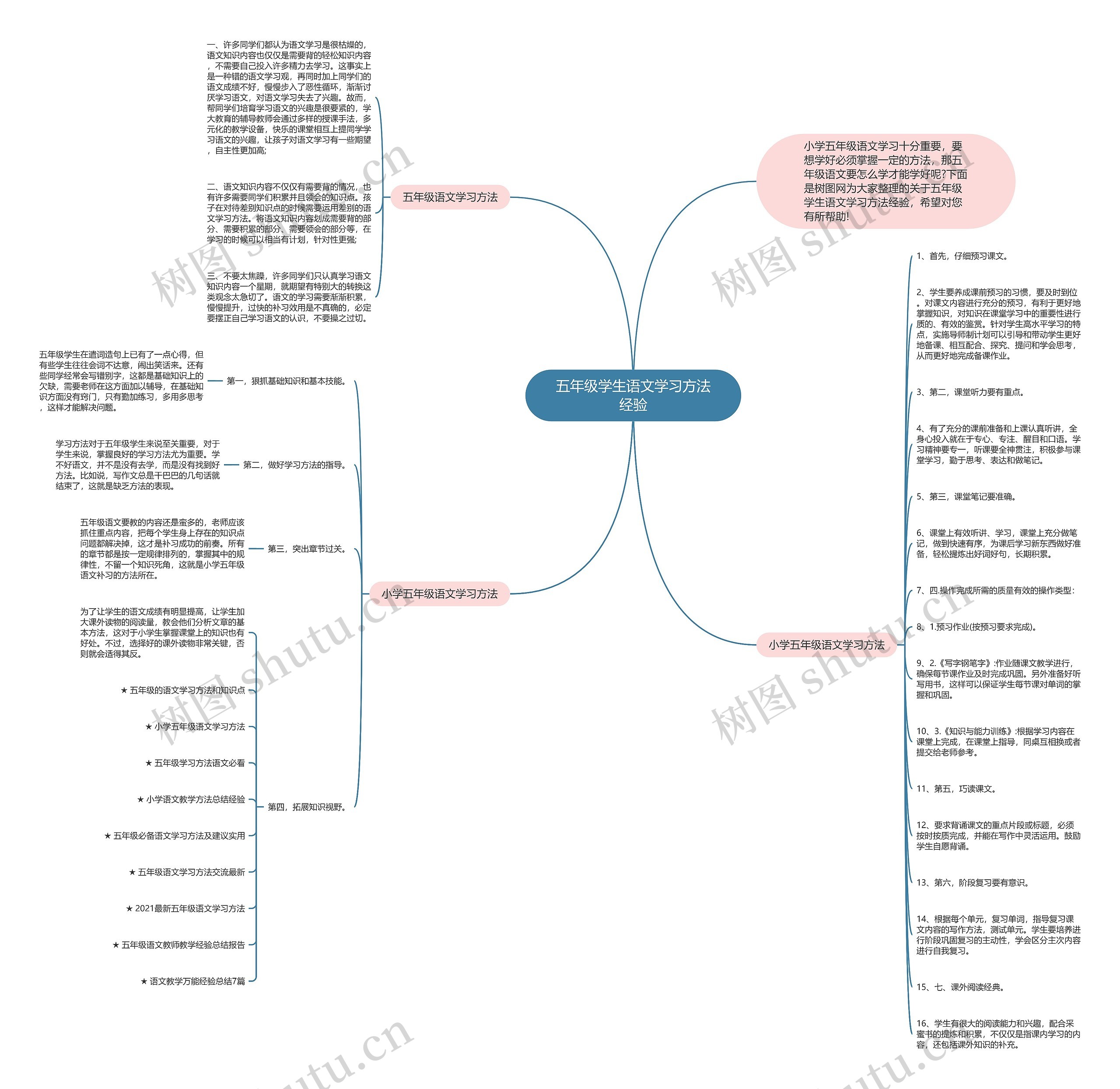 五年级学生语文学习方法经验思维导图