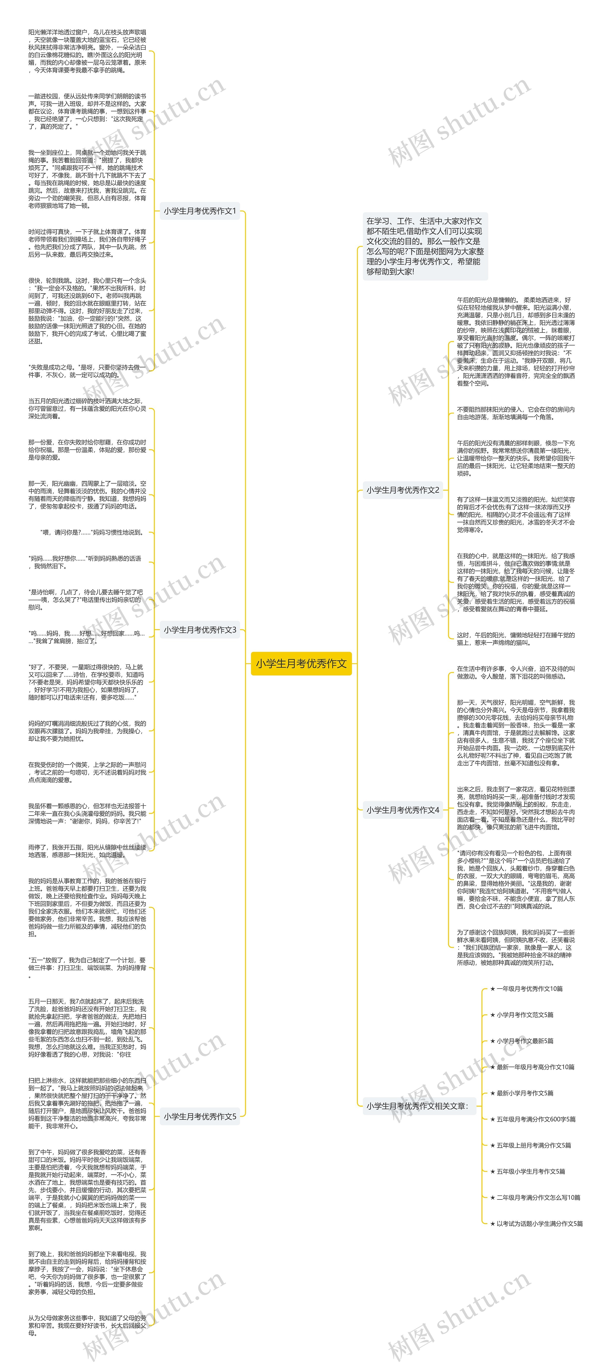 小学生月考优秀作文思维导图