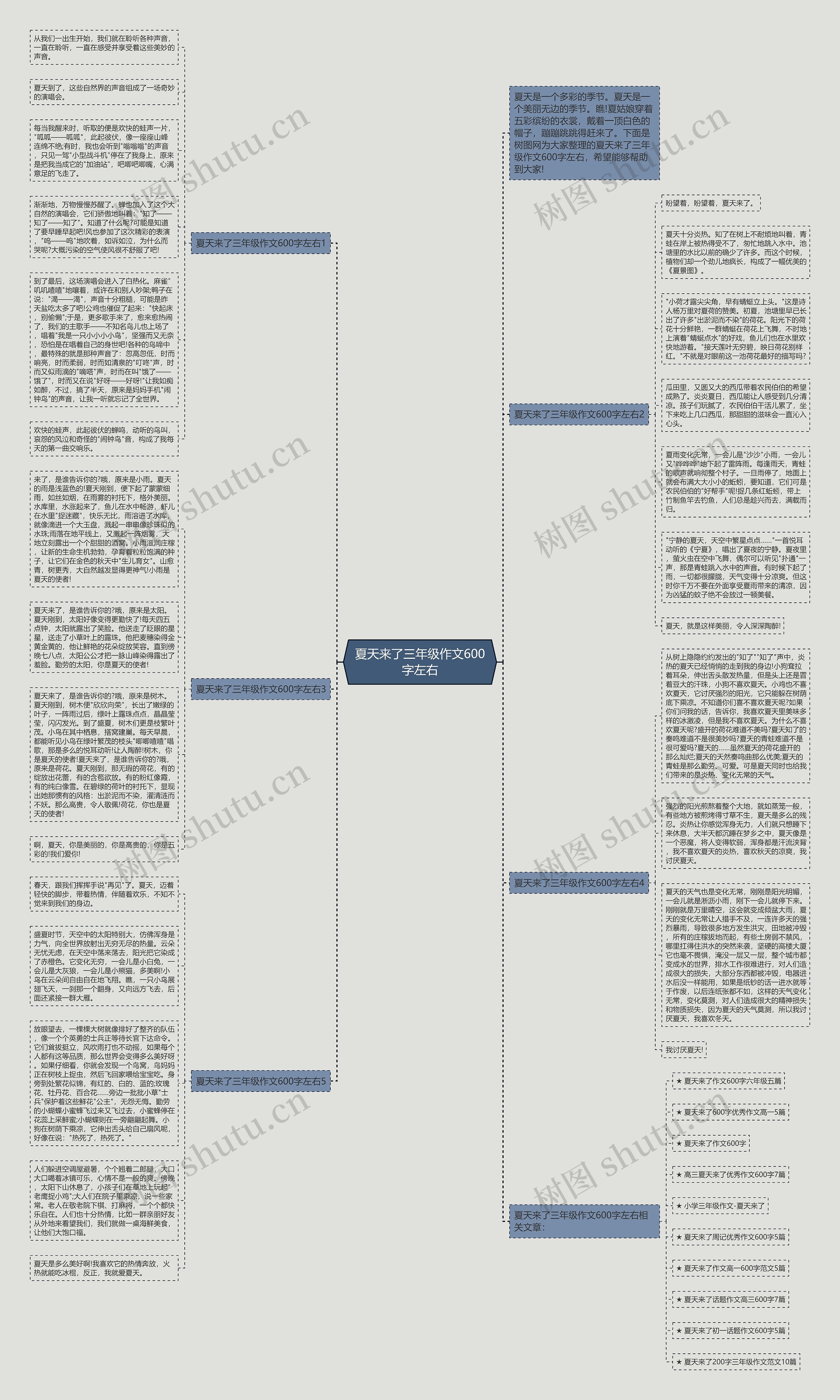 夏天来了三年级作文600字左右思维导图