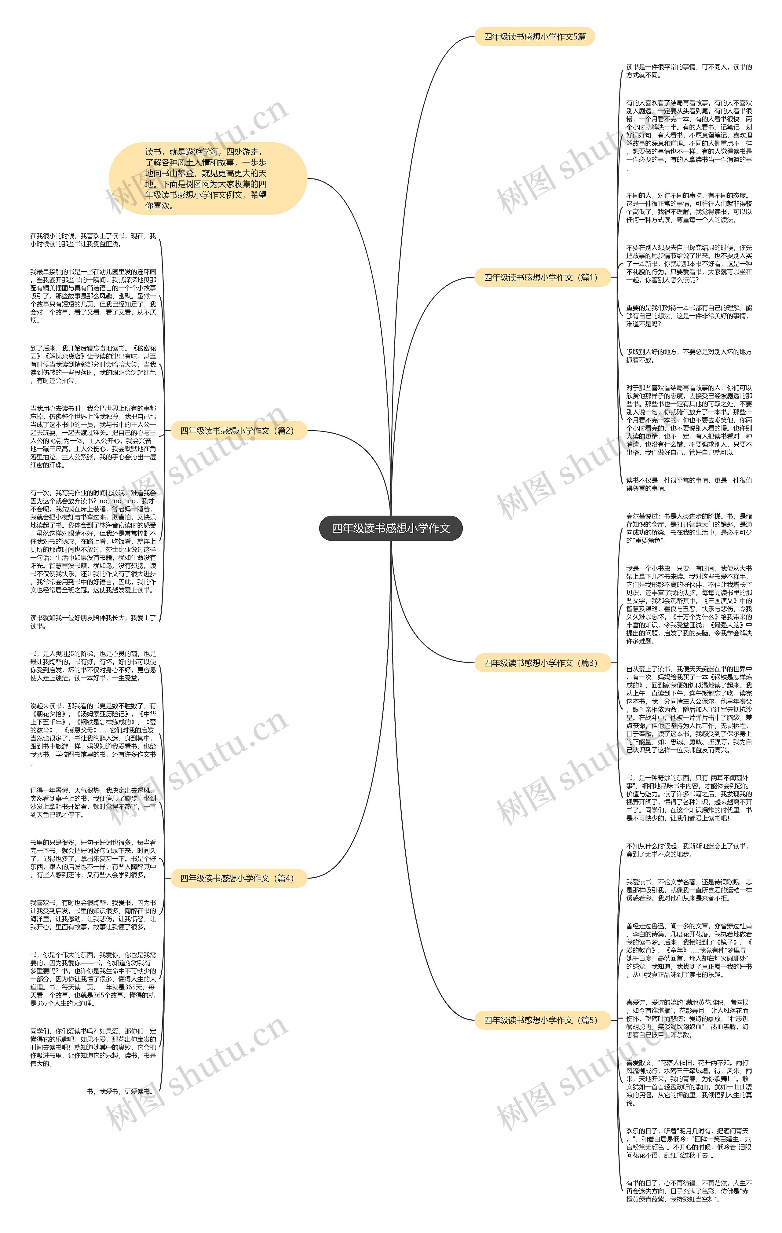 四年级读书感想小学作文思维导图