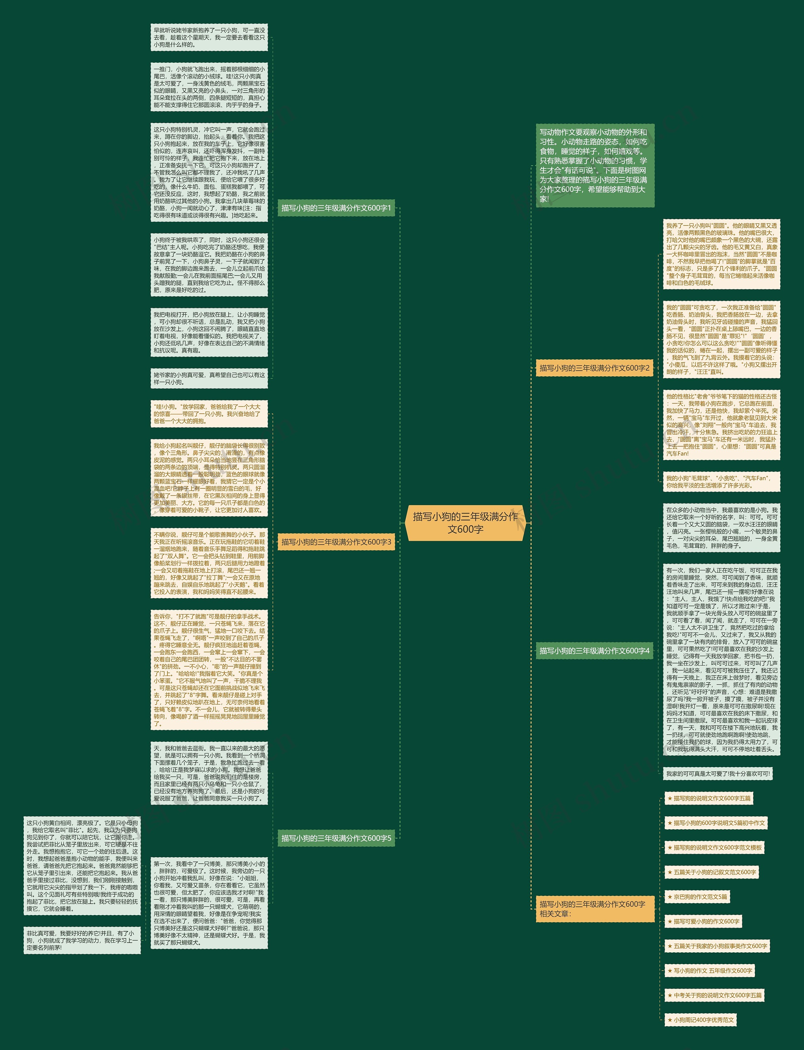 描写小狗的三年级满分作文600字思维导图