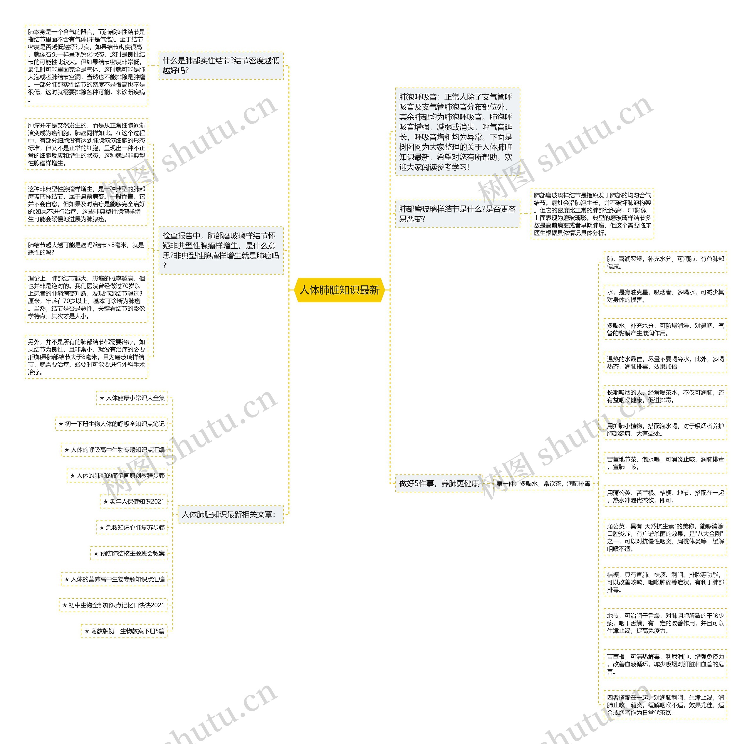 人体肺脏知识最新思维导图
