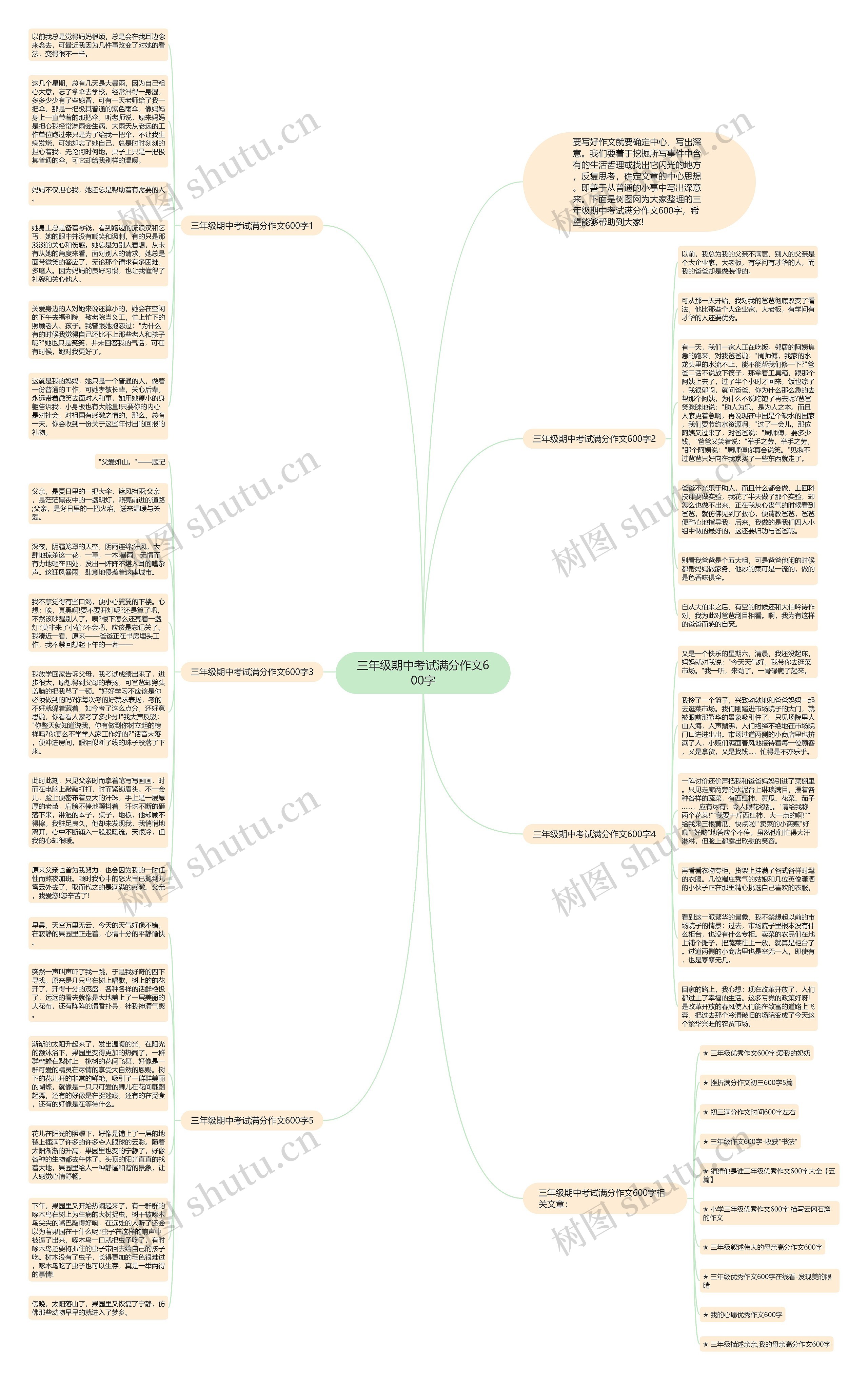 三年级期中考试满分作文600字思维导图