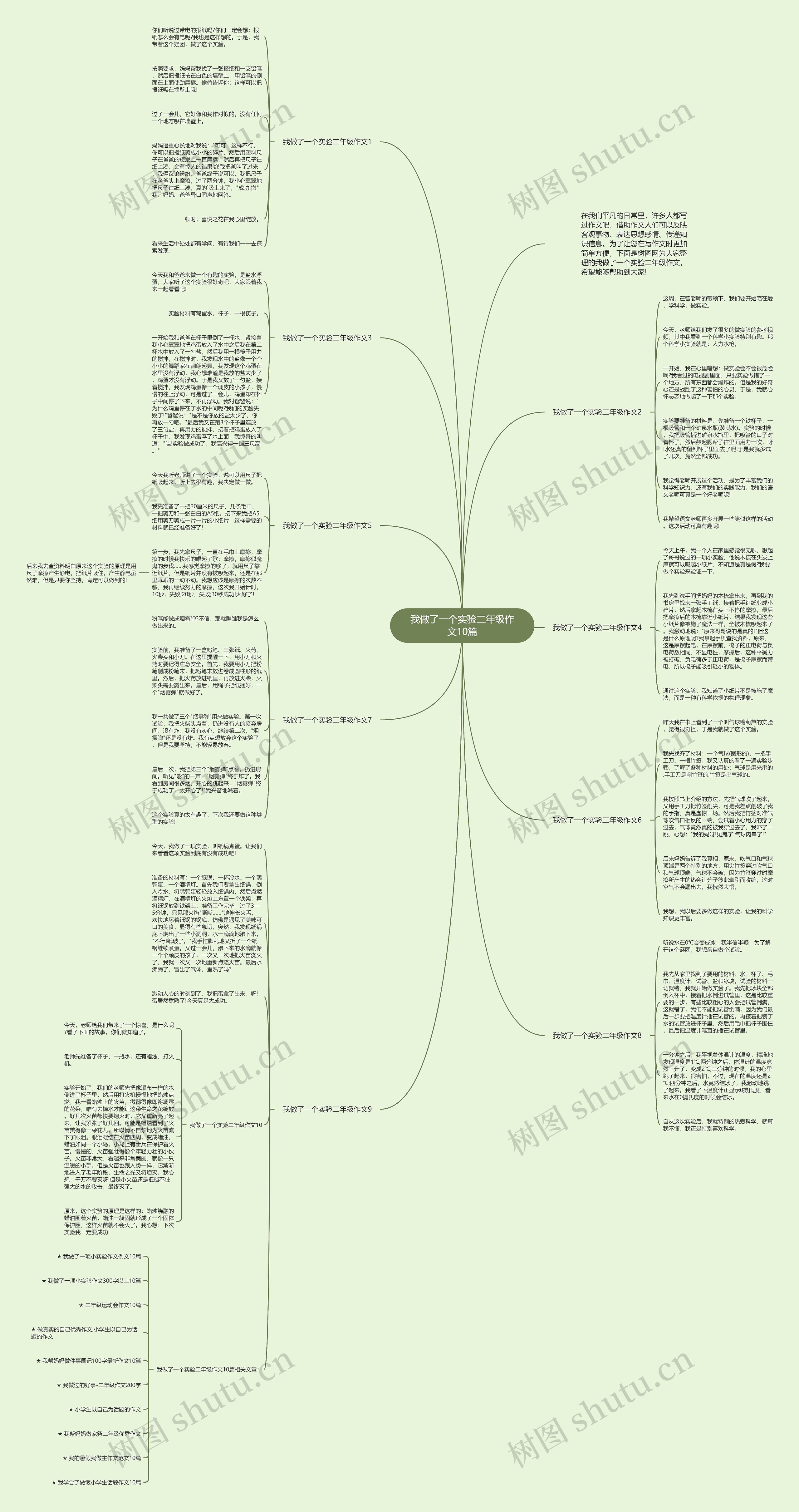 我做了一个实验二年级作文10篇