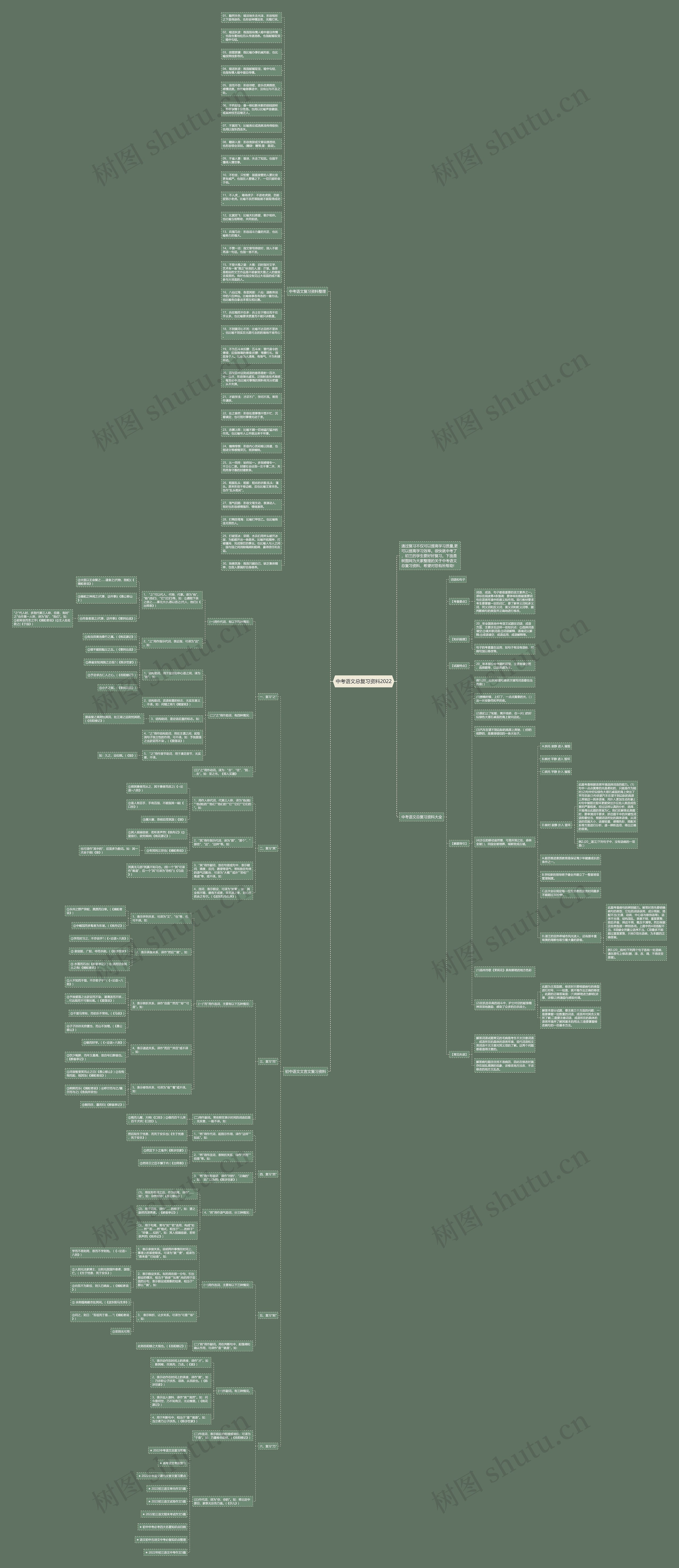 中考语文总复习资料2022思维导图