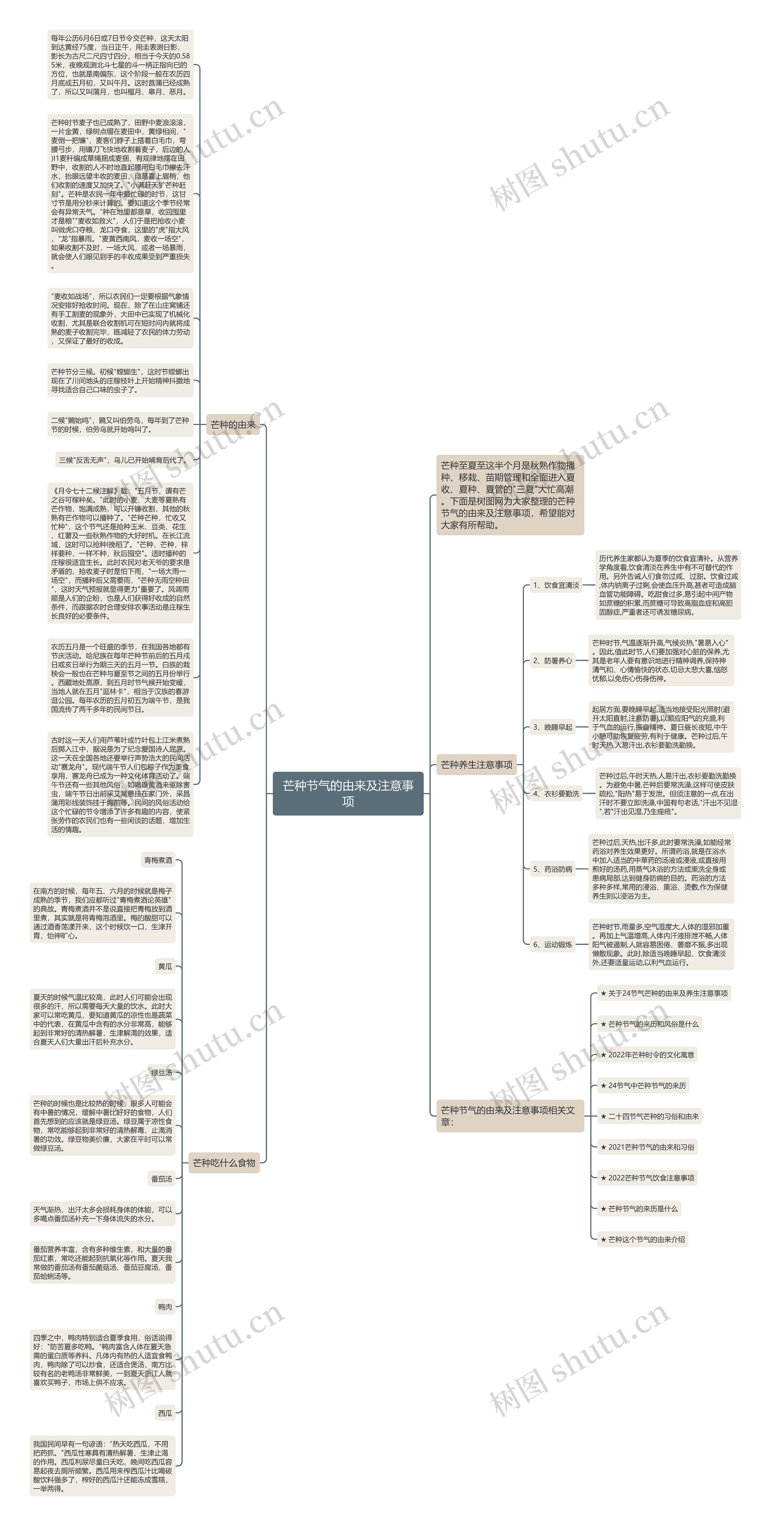 芒种节气的由来及注意事项思维导图