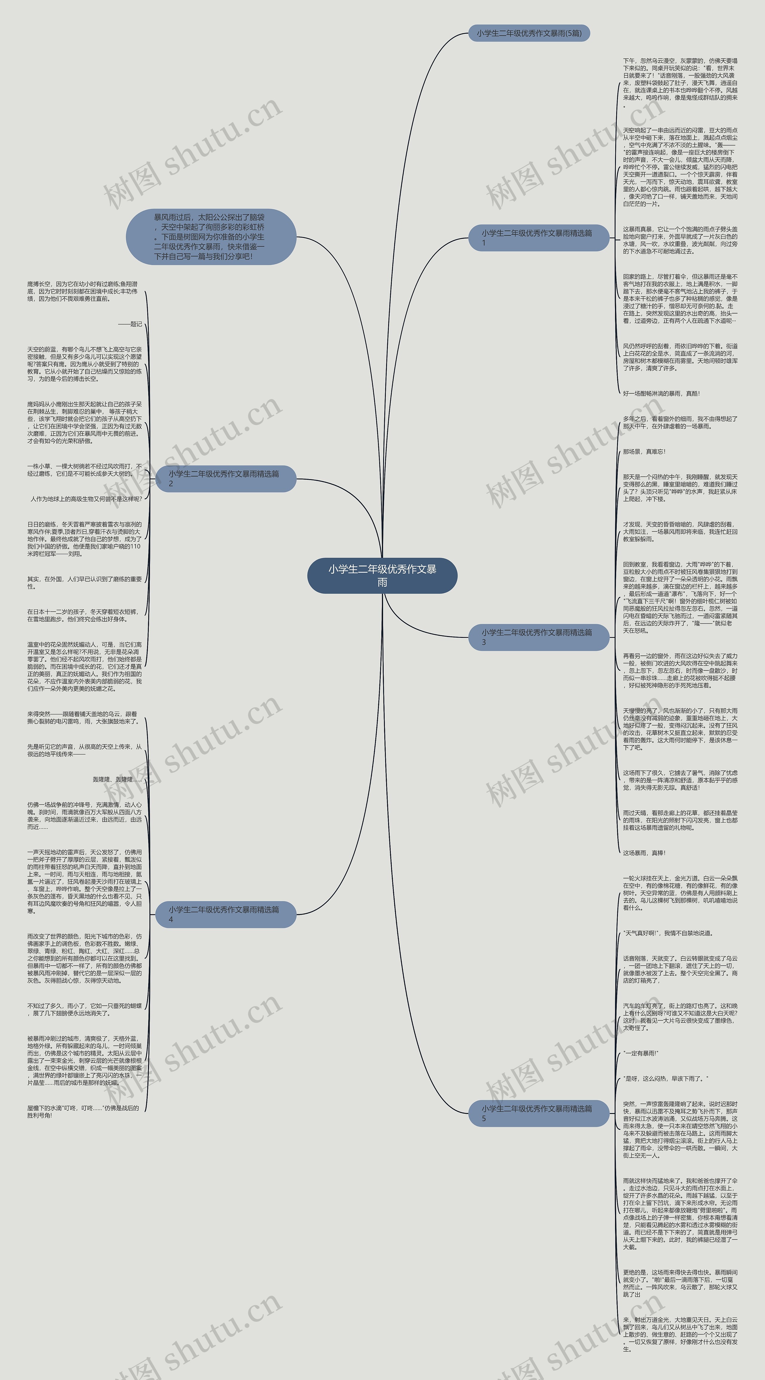 小学生二年级优秀作文暴雨思维导图