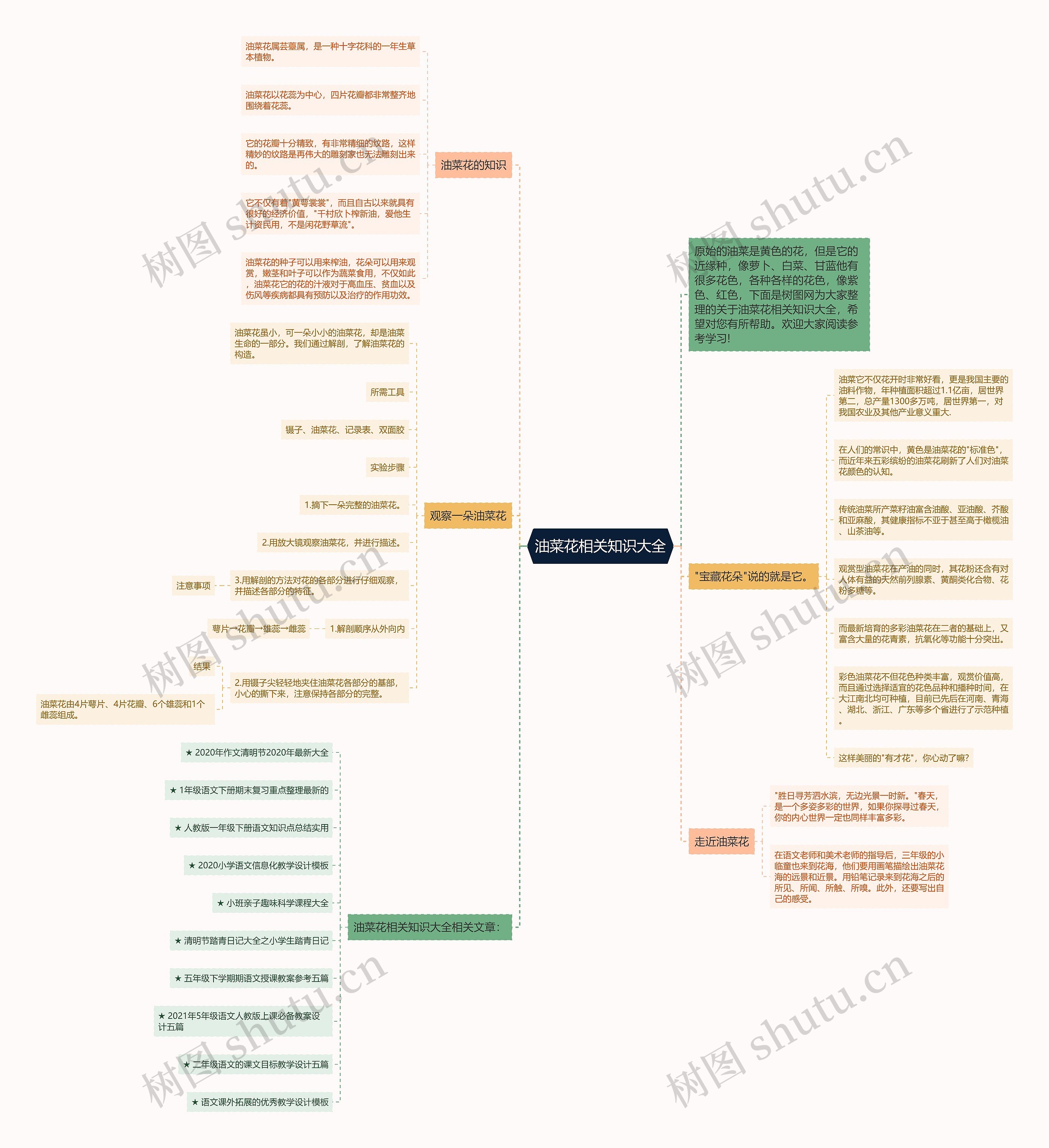 油菜花相关知识大全思维导图