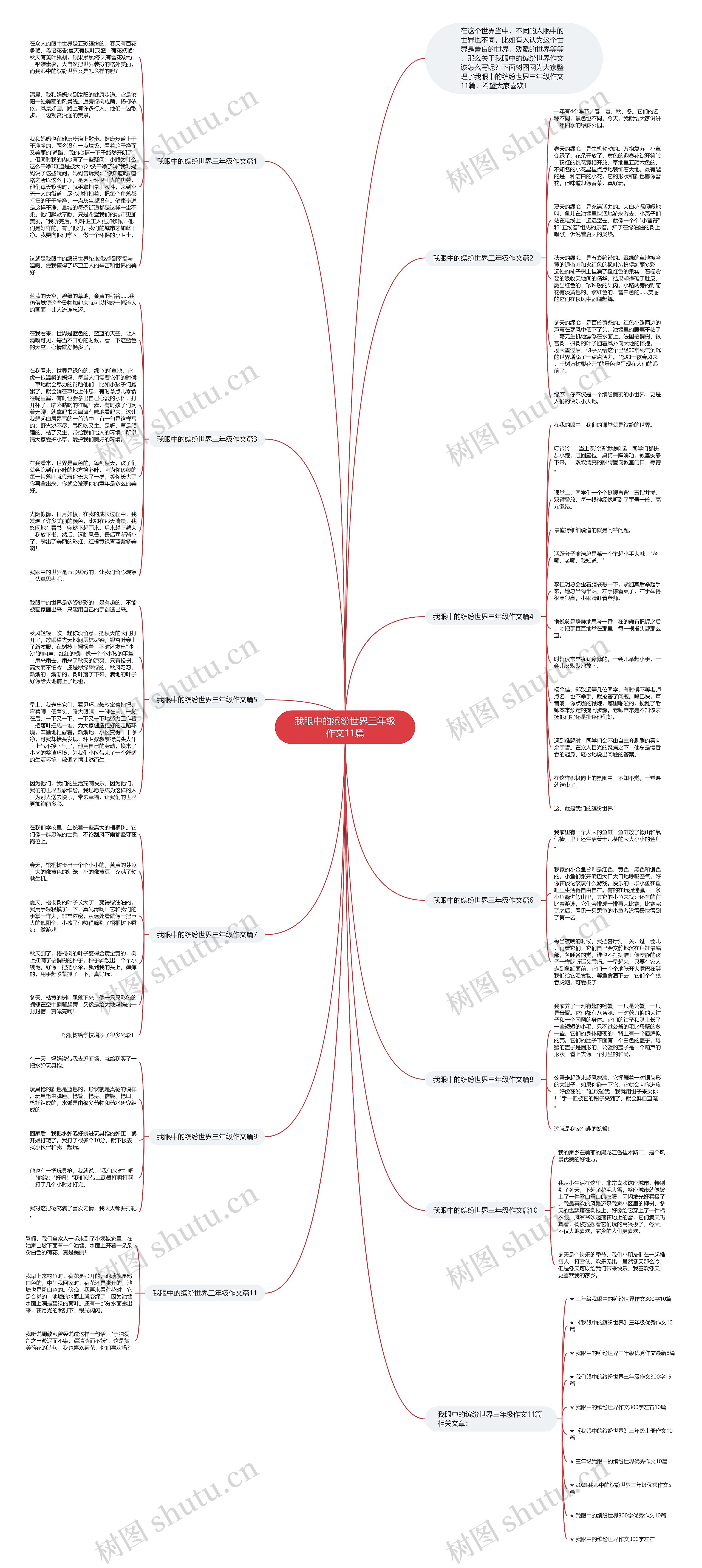我眼中的缤纷世界三年级作文11篇 我眼中的缤纷世界三年级作文11篇