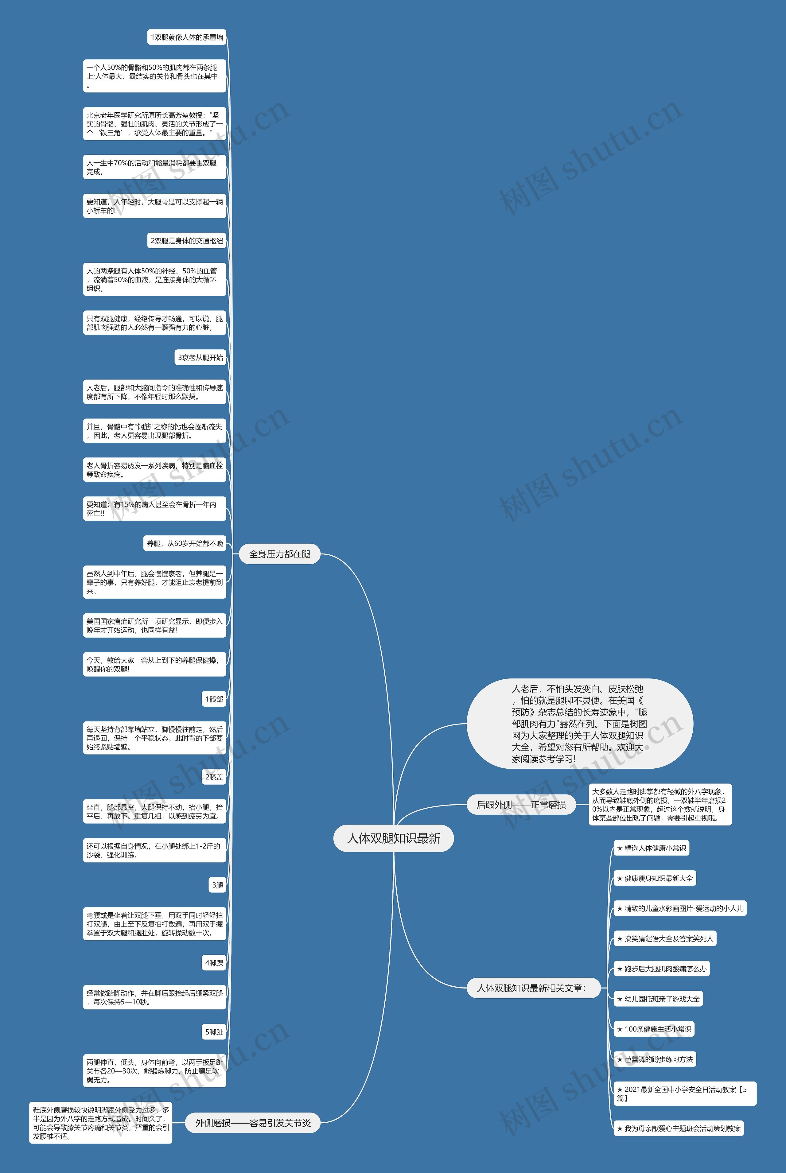 人体双腿知识最新思维导图