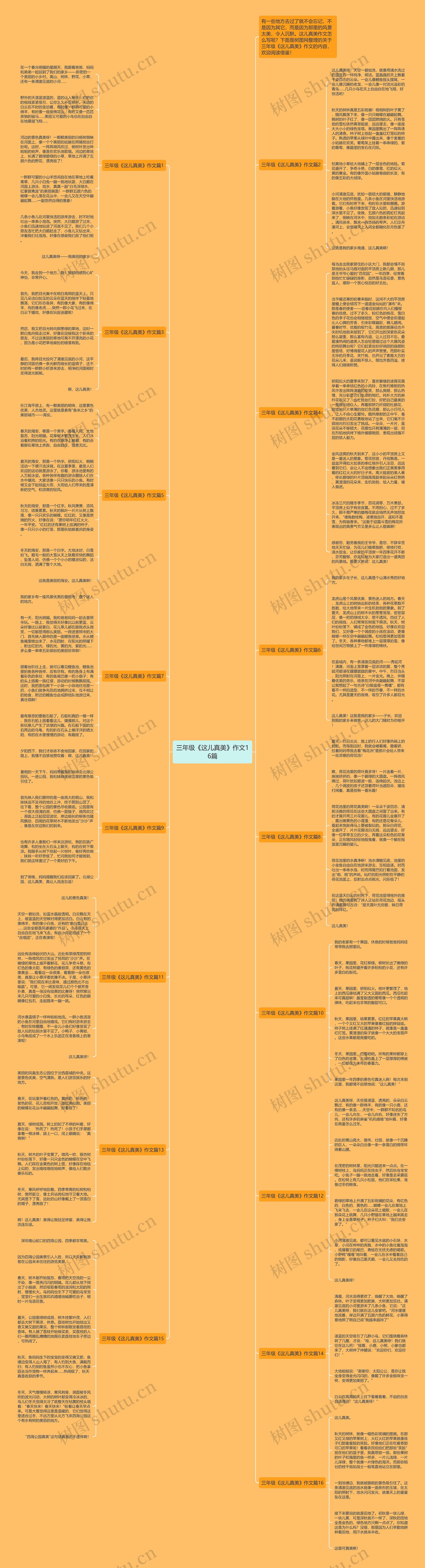 三年级《这儿真美》作文16篇思维导图