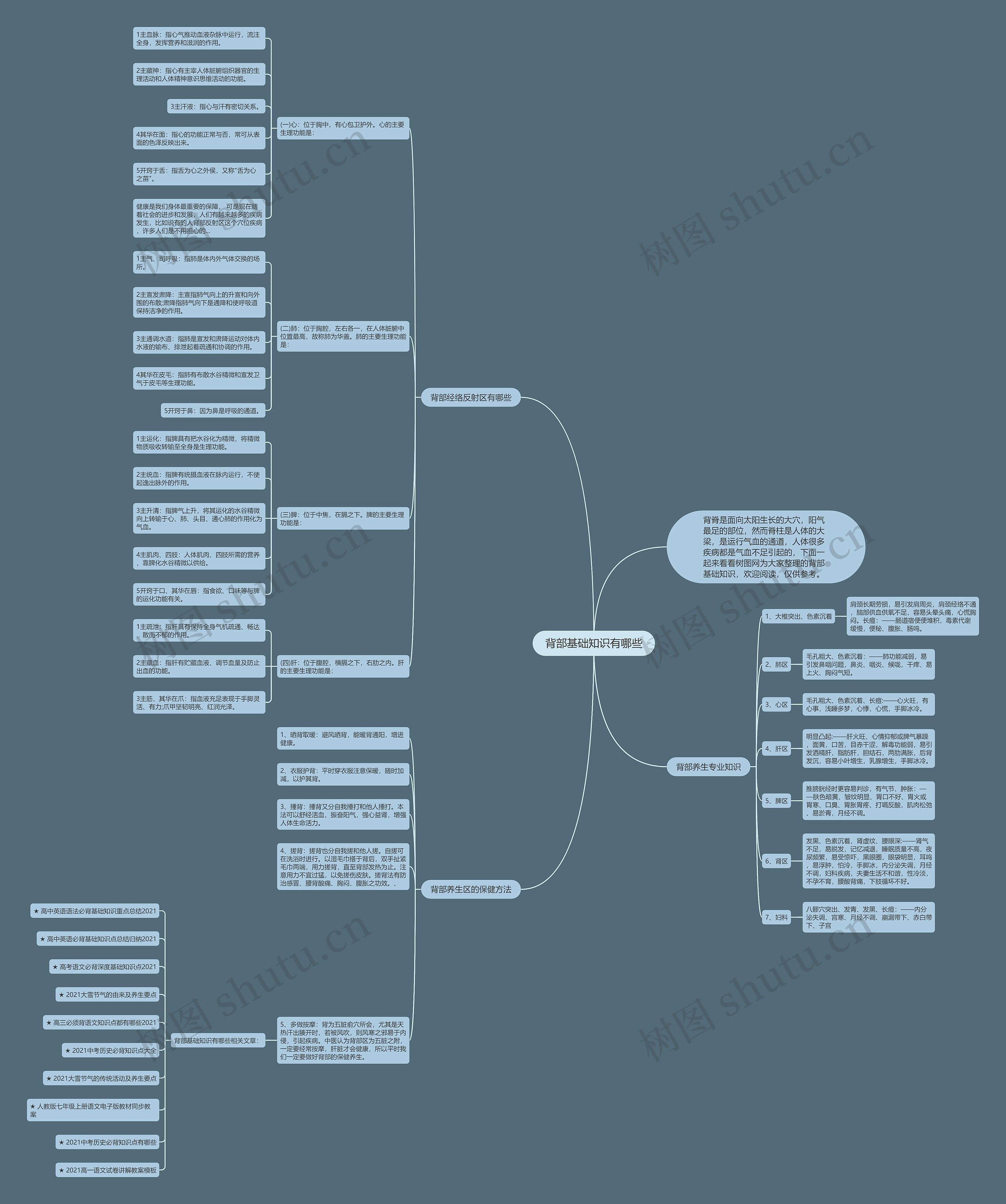 背部基础知识有哪些思维导图