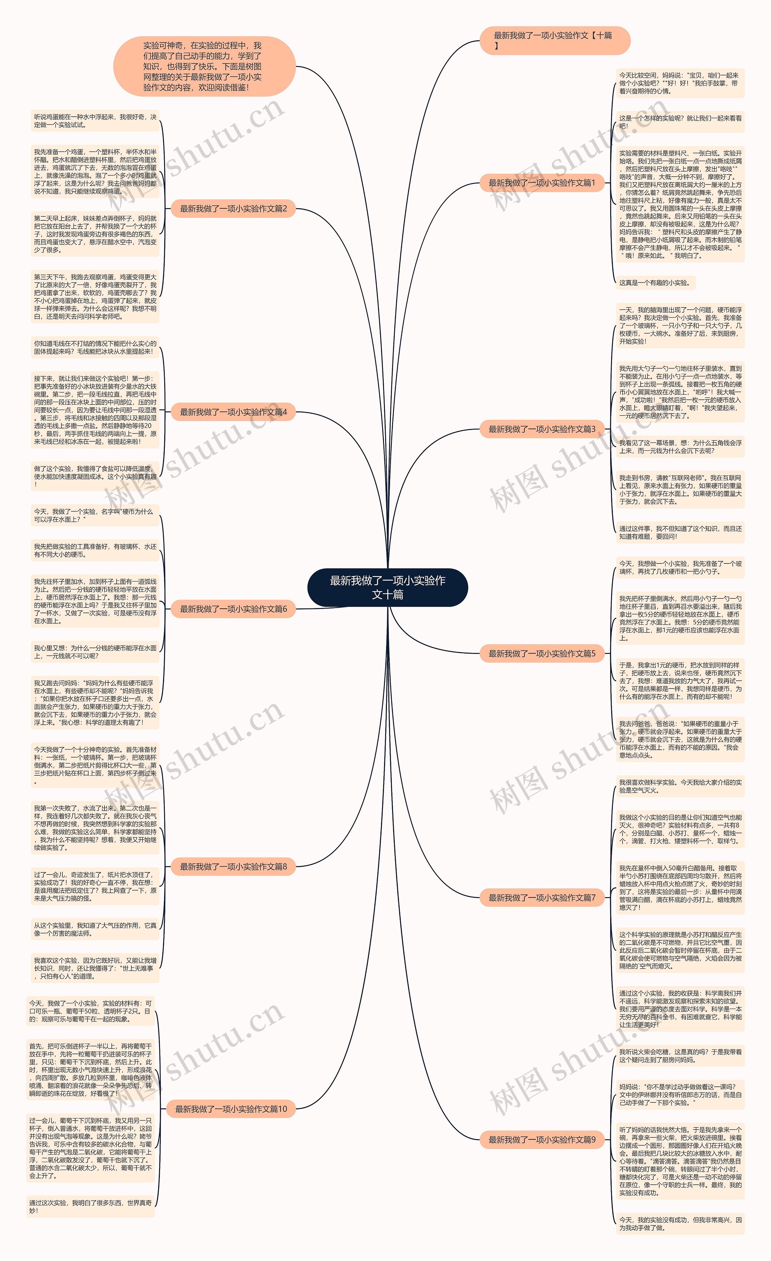 最新我做了一项小实验作文十篇思维导图
