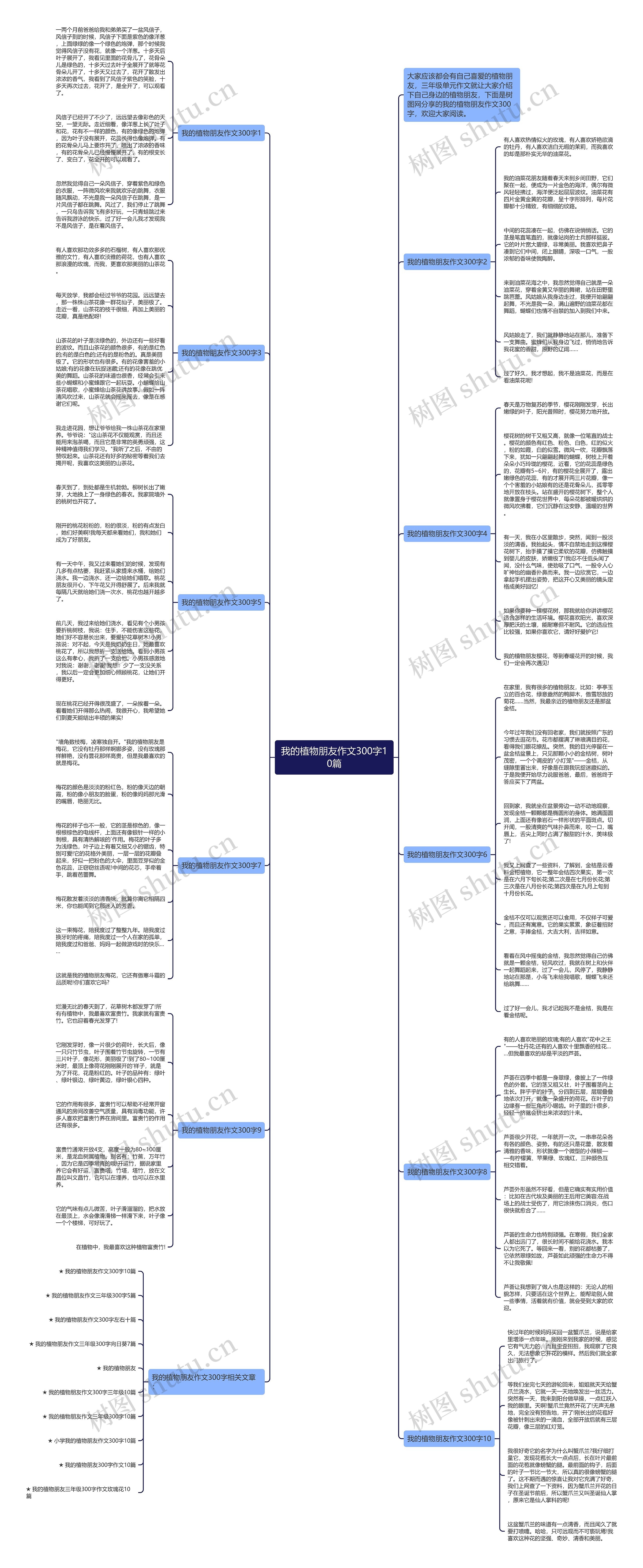 我的植物朋友作文300字10篇思维导图