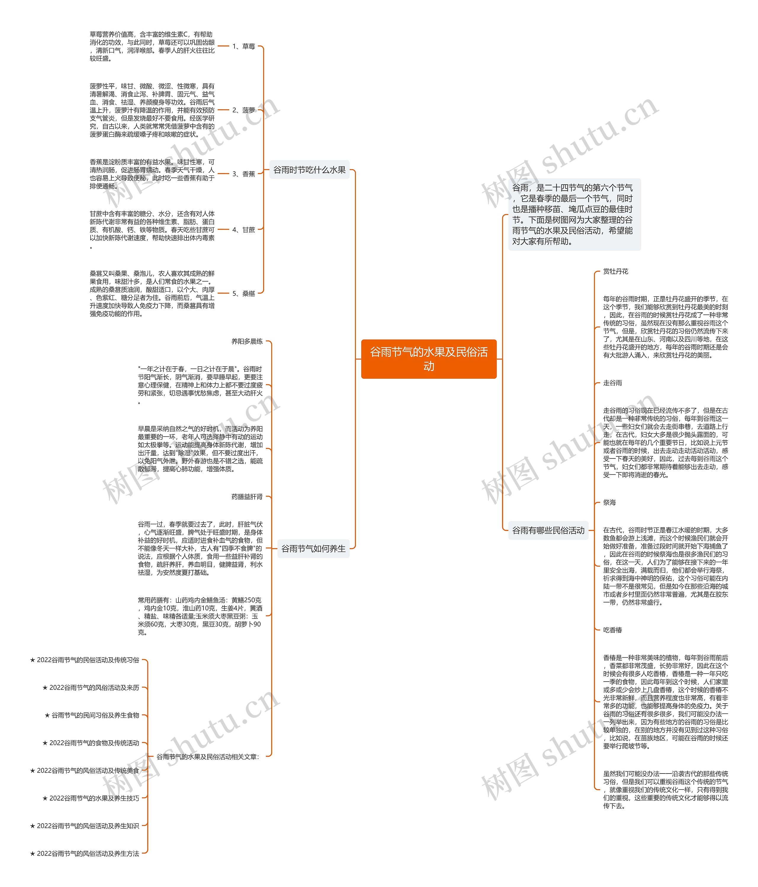 谷雨节气的水果及民俗活动思维导图