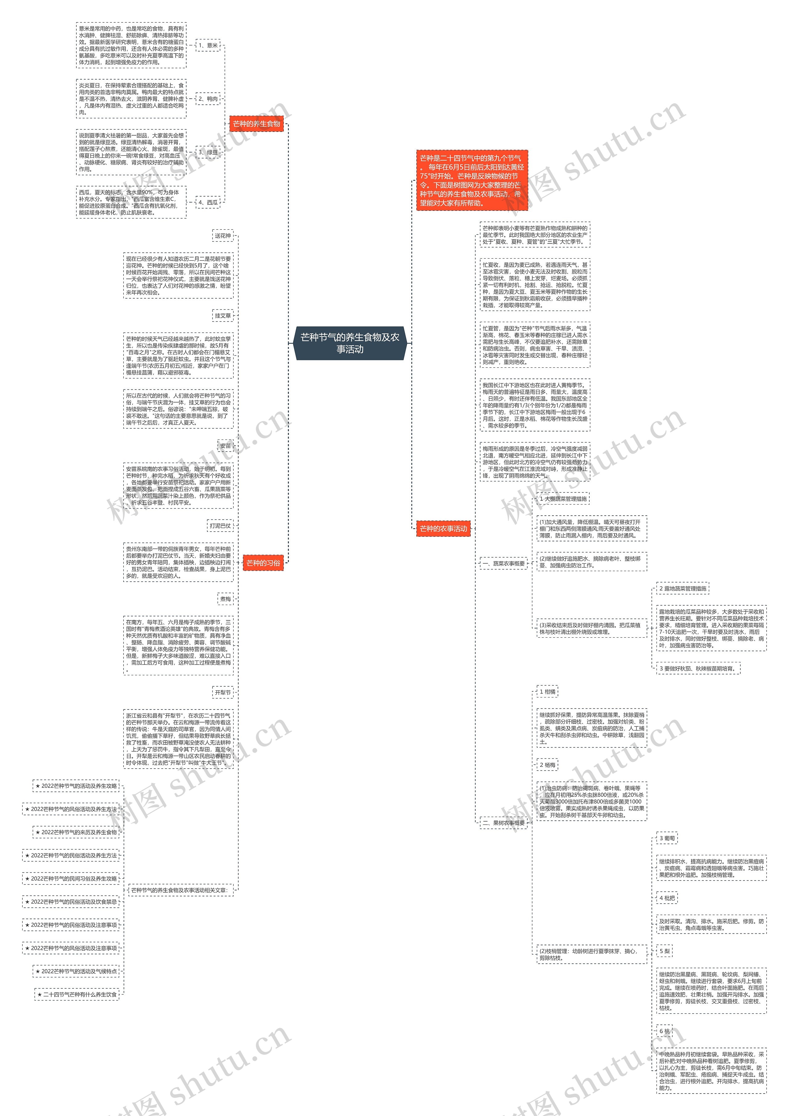 芒种节气的养生食物及农事活动思维导图