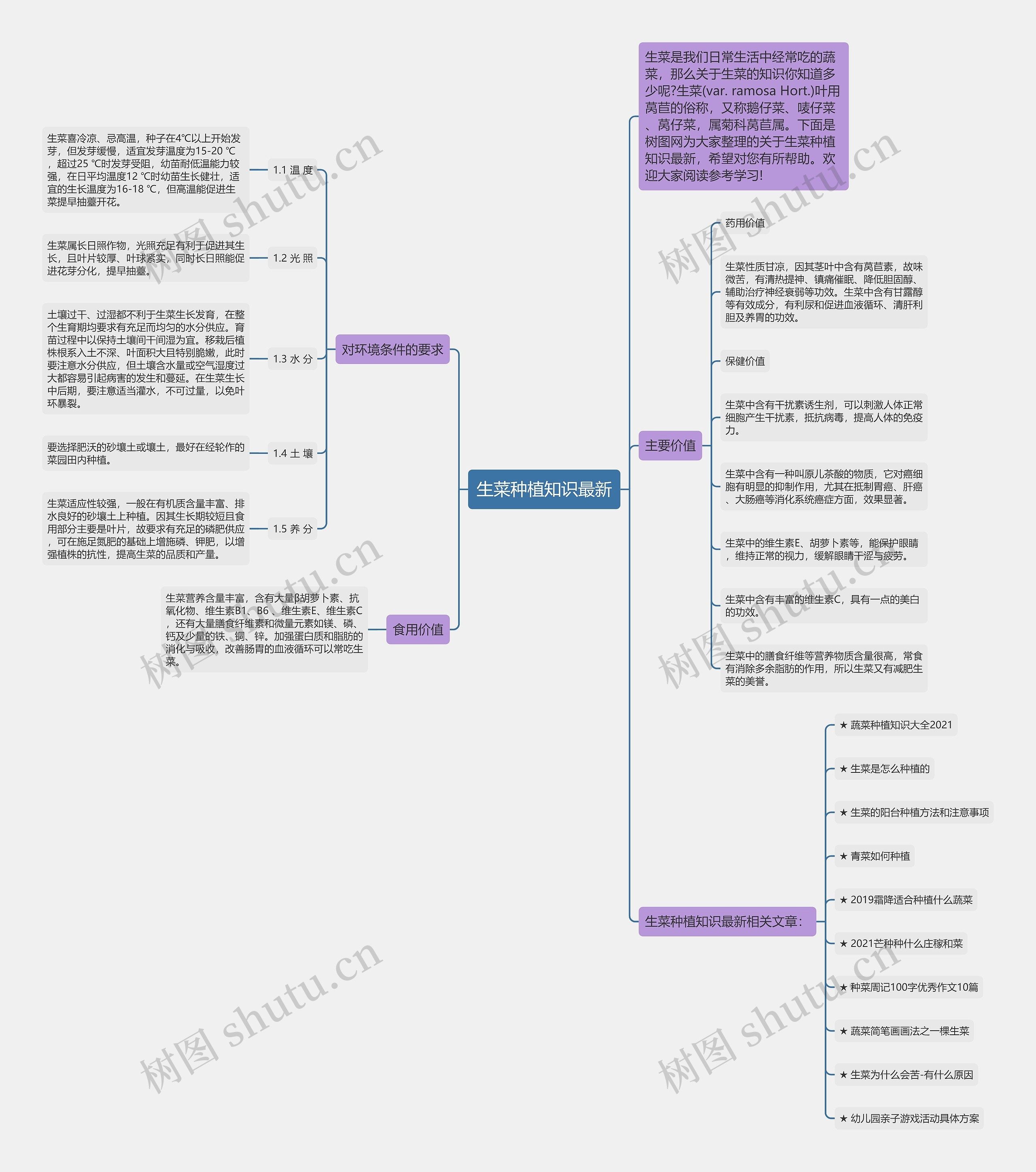生菜种植知识最新思维导图