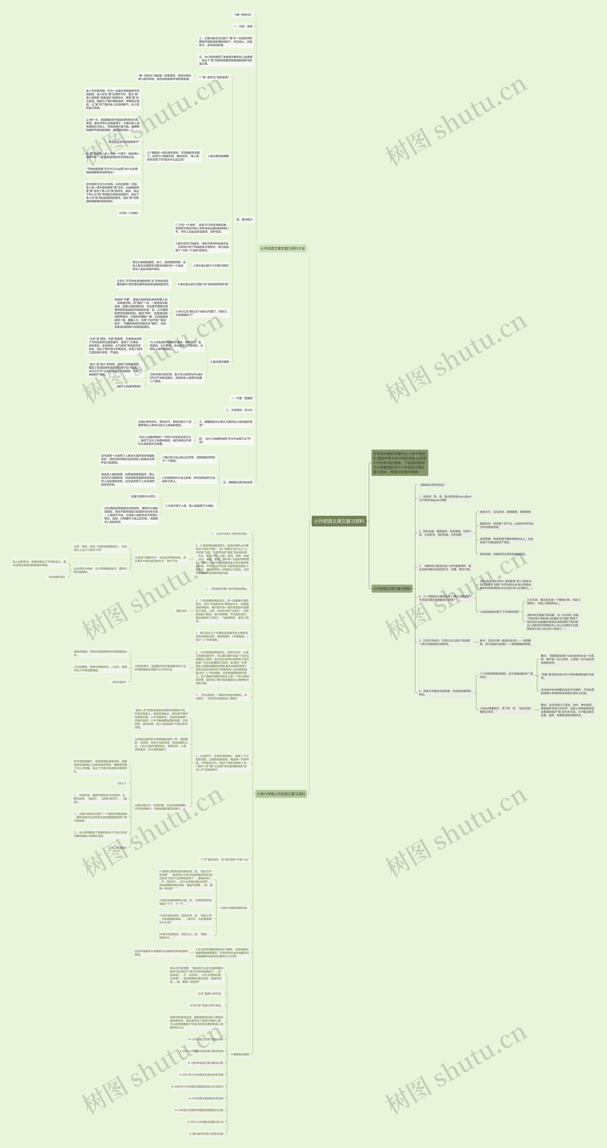 小升初语文课文复习资料思维导图