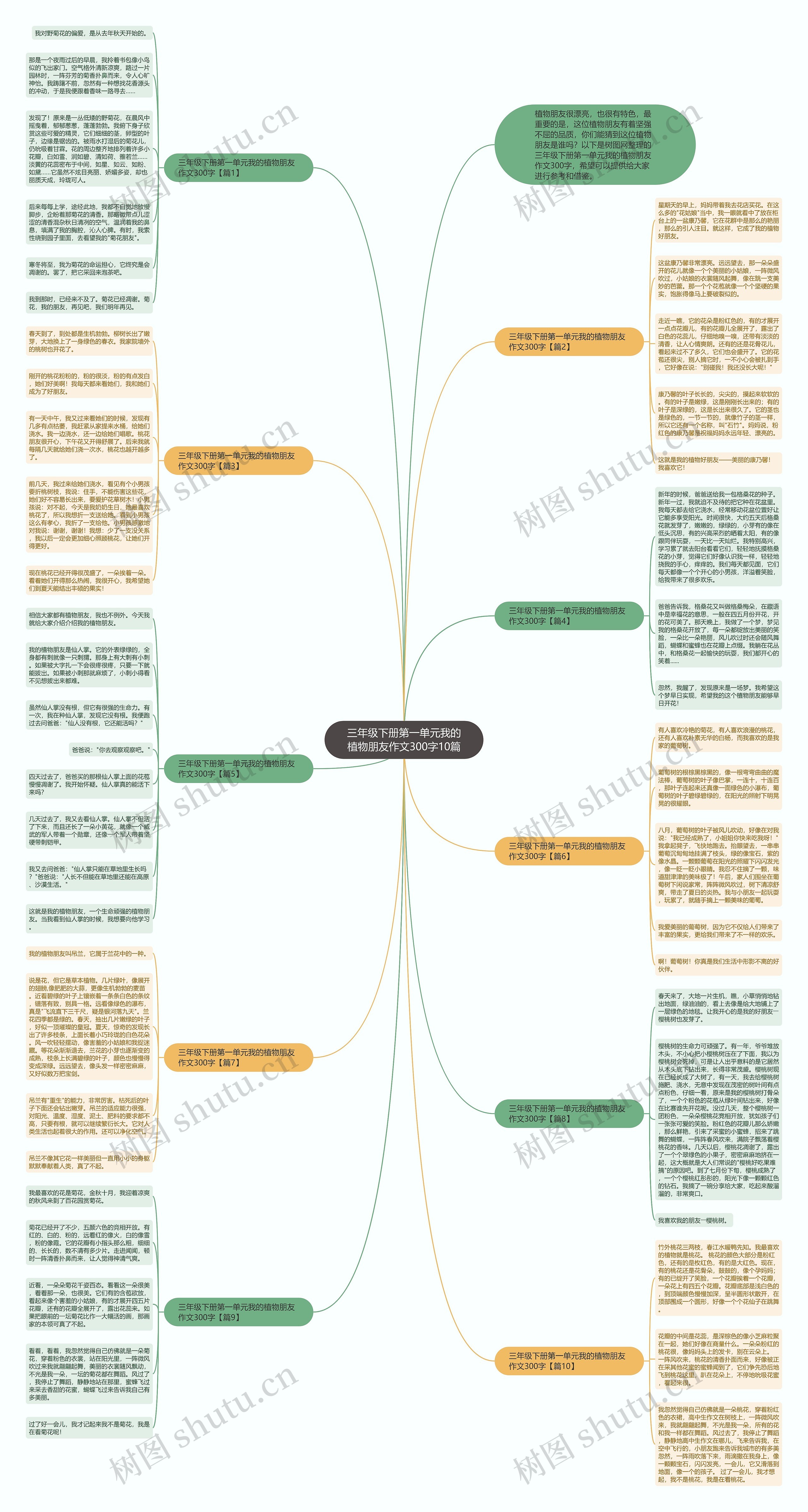 三年级下册第一单元我的植物朋友作文300字10篇思维导图高清图 三年级下册第一单元我的植物朋友作文300字10篇思维导图