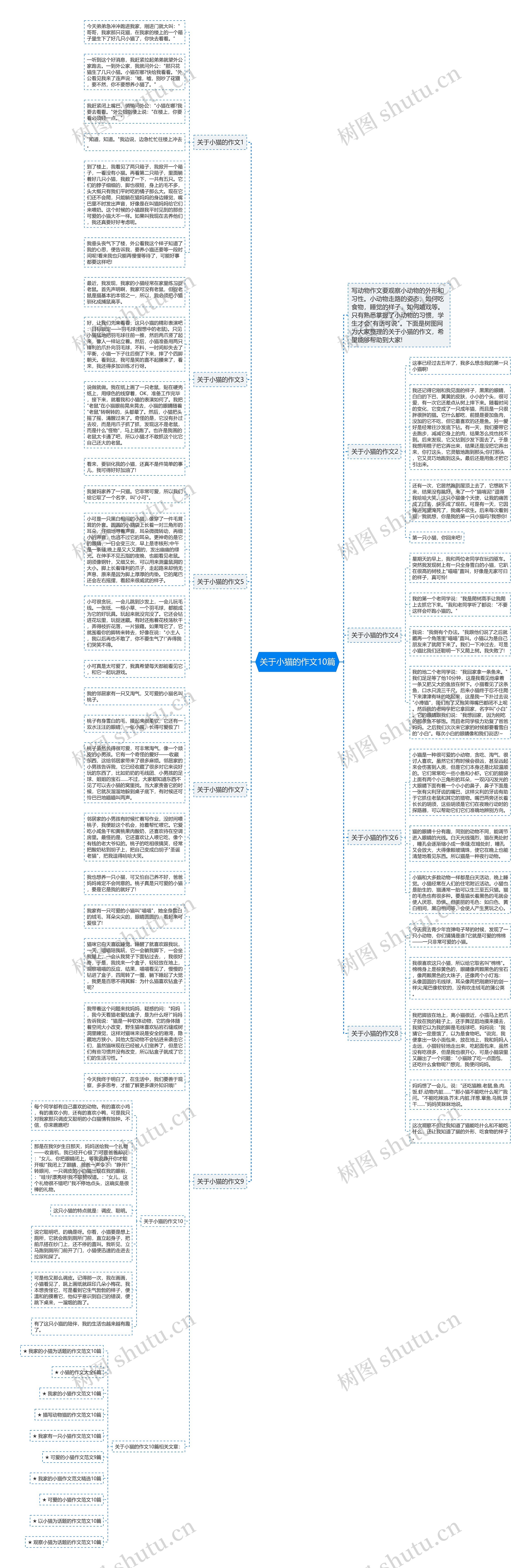 关于小猫的作文10篇思维导图