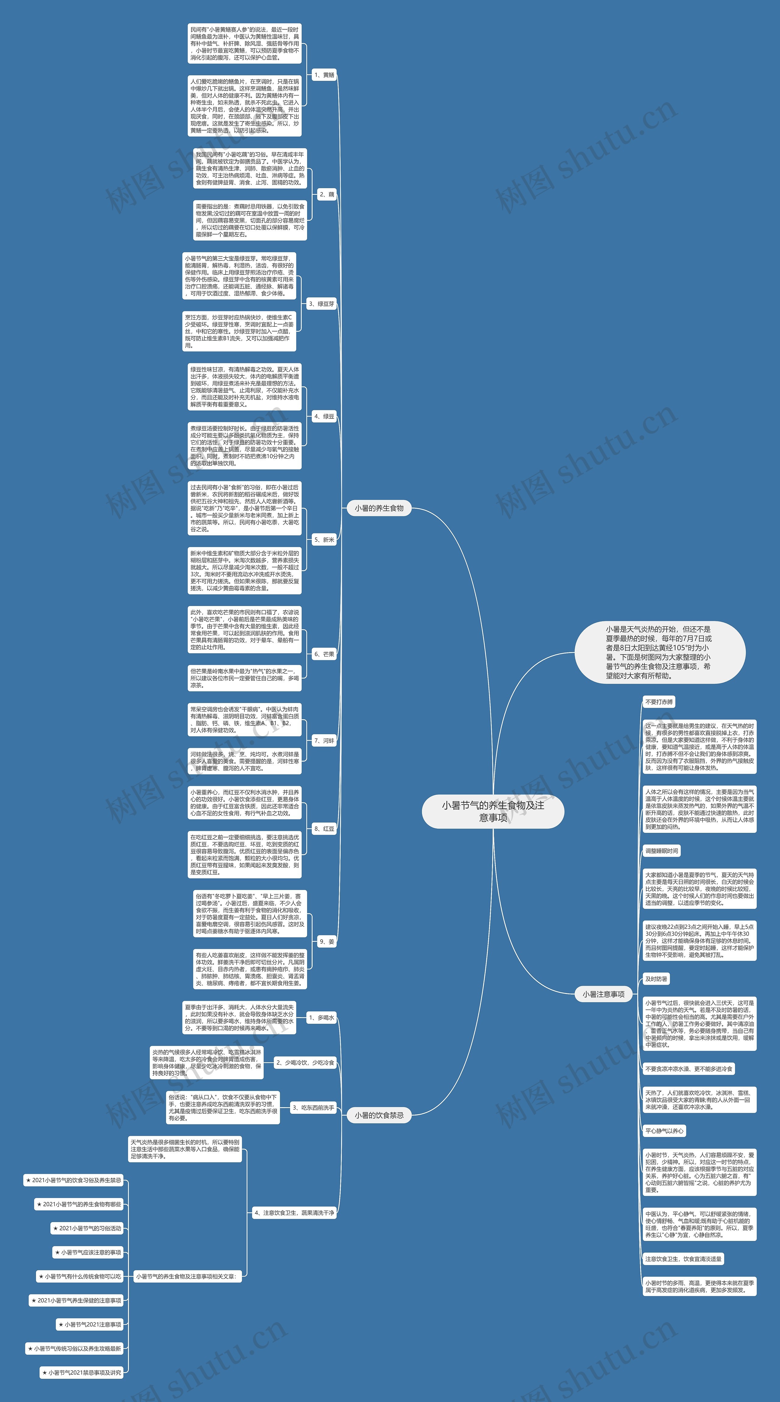 小暑节气的养生食物及注意事项思维导图