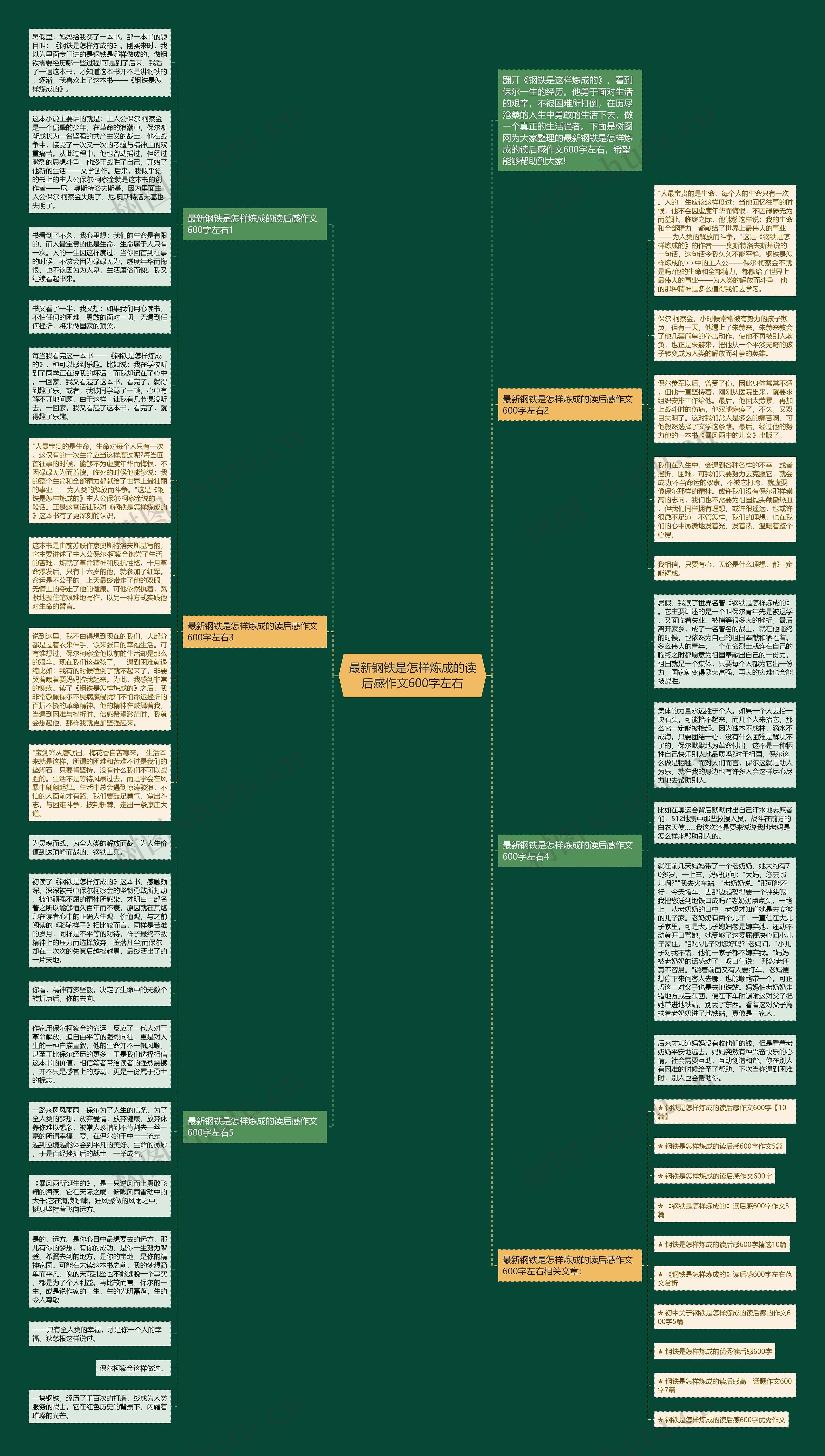 最新钢铁是怎样炼成的读后感作文600字左右