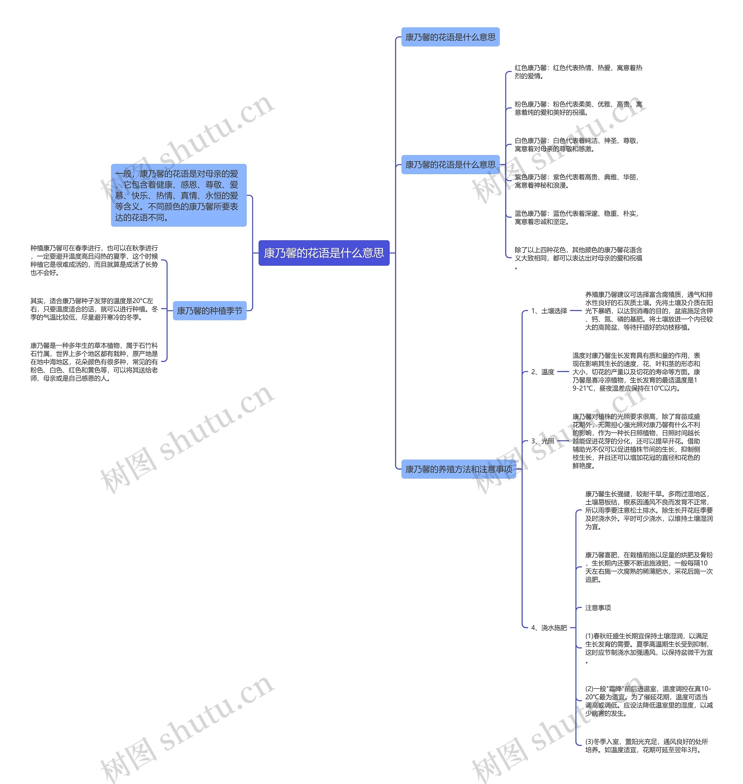 康乃馨的花语是什么意思思维导图