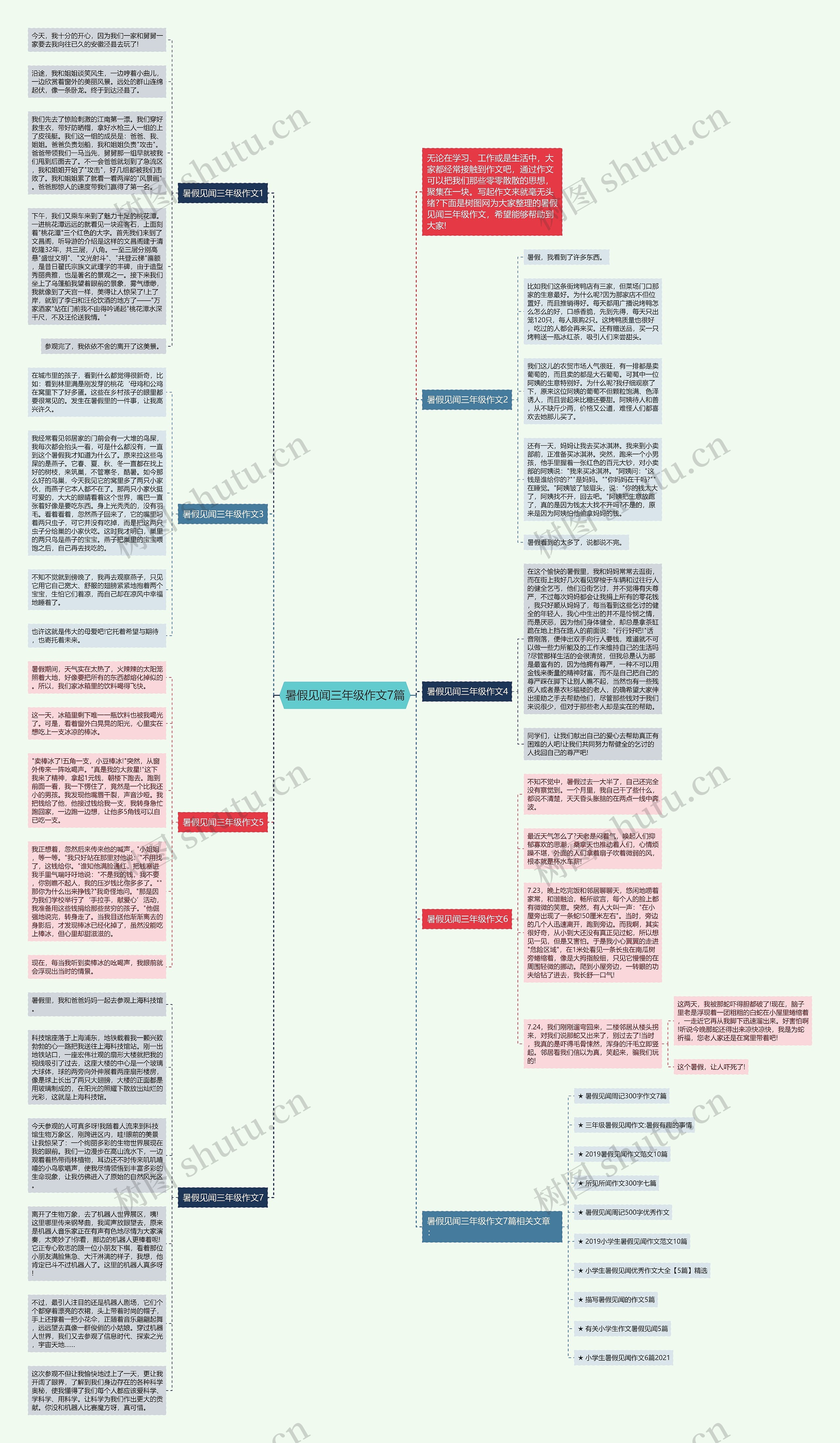 暑假见闻三年级作文7篇