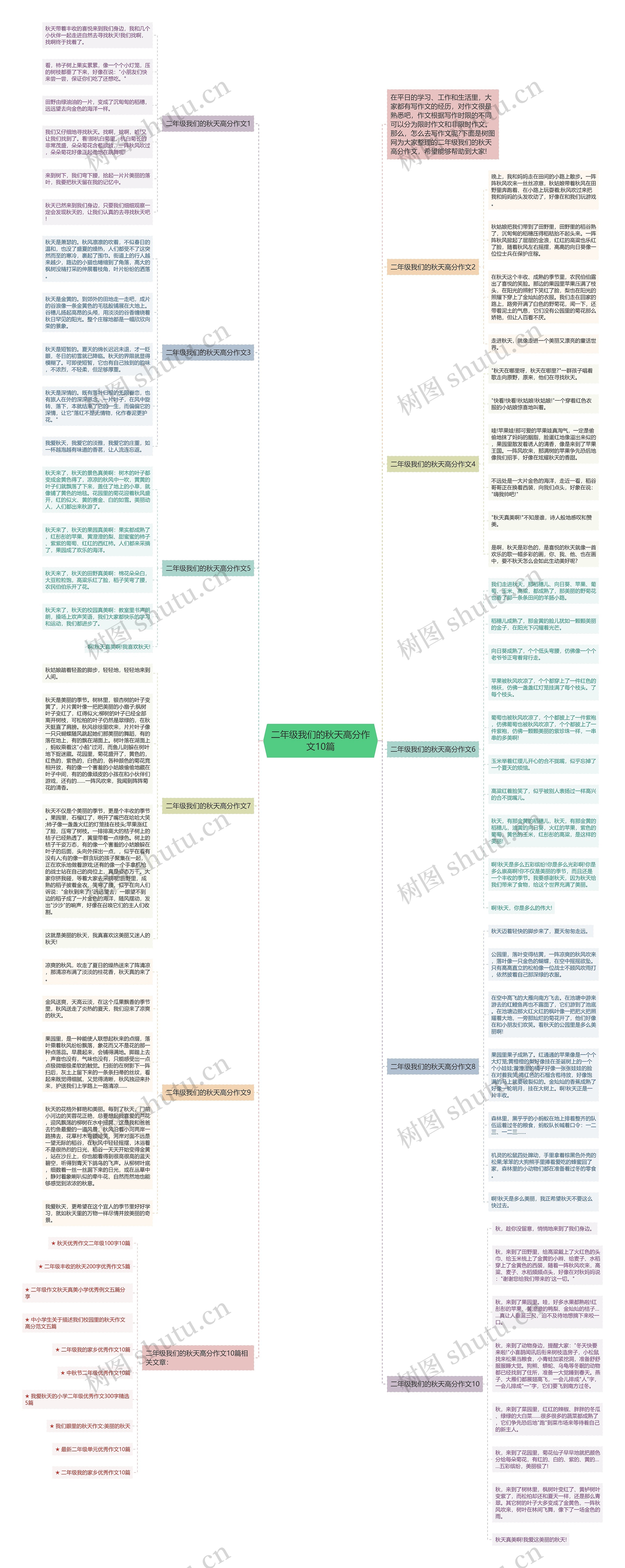 二年级我们的秋天高分作文10篇思维导图