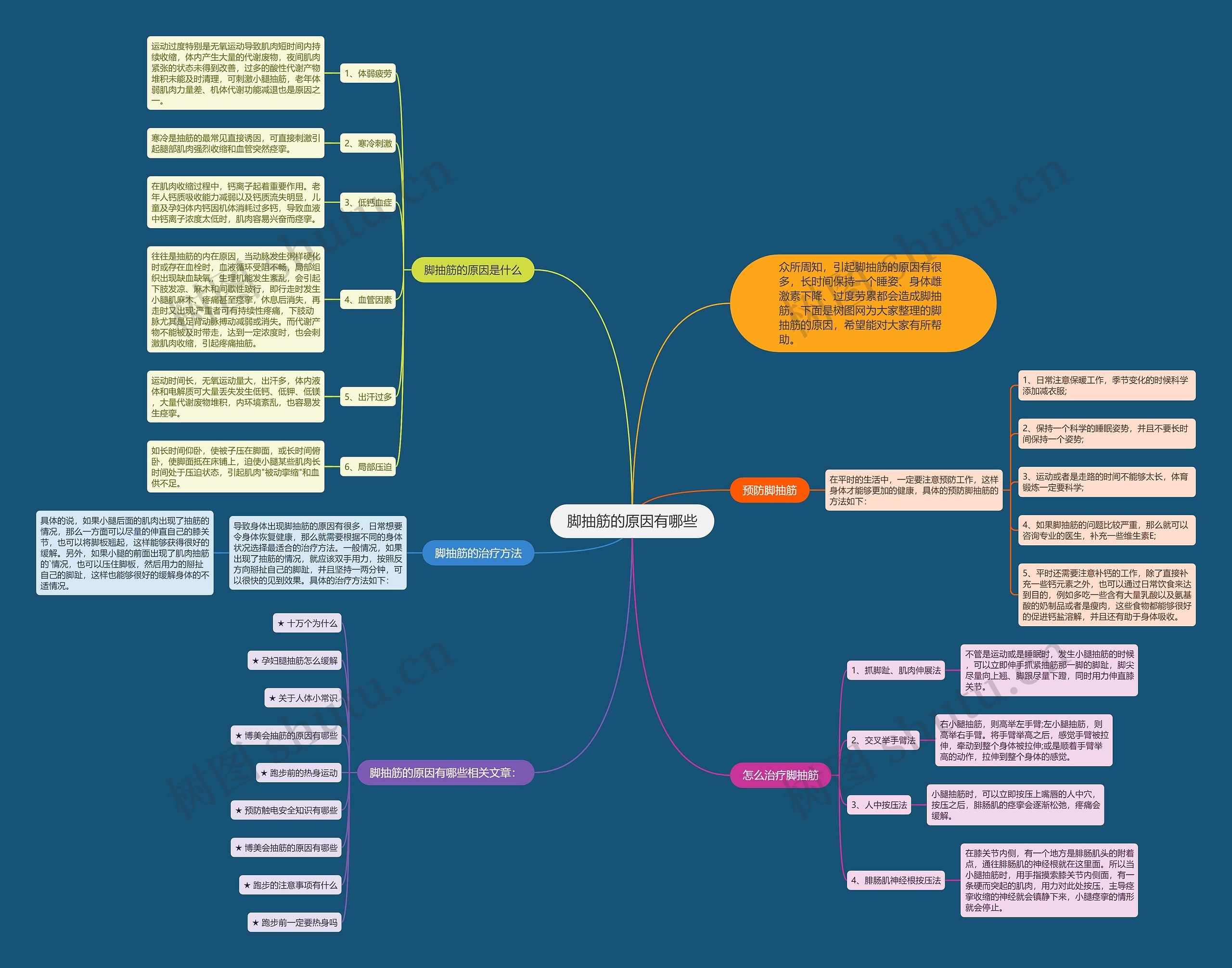 脚抽筋的原因有哪些思维导图