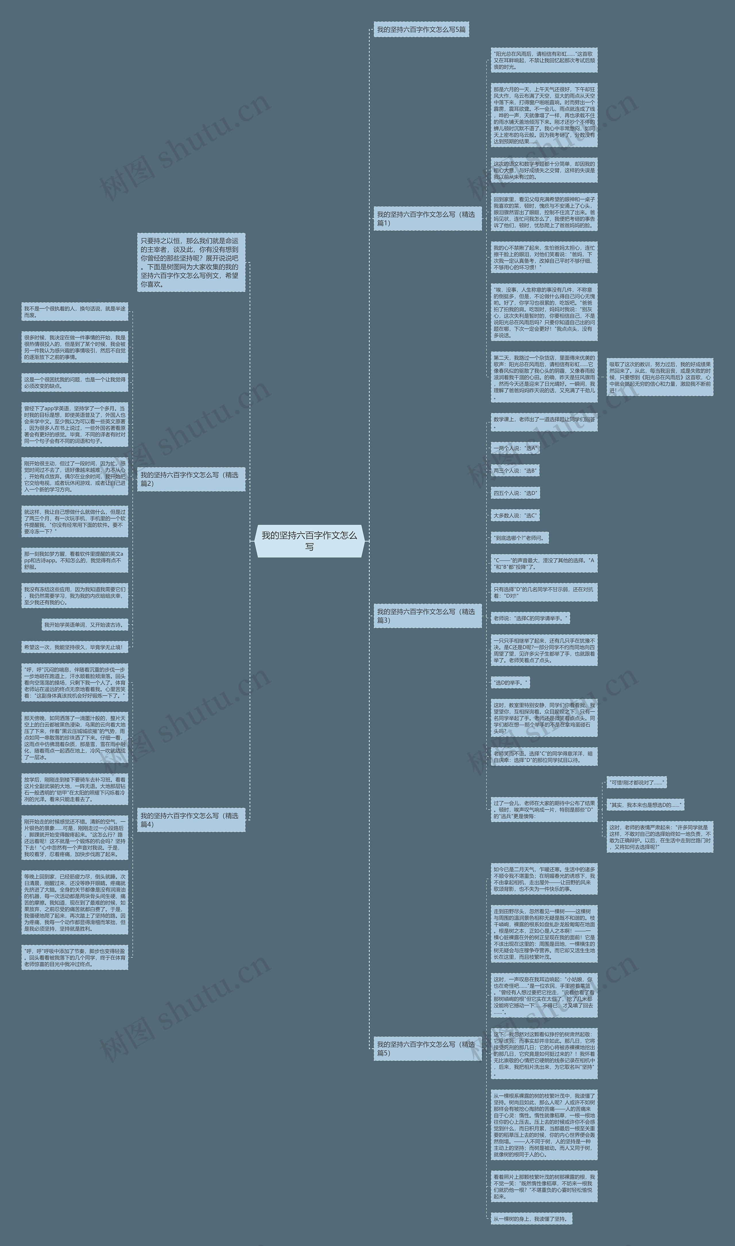 我的坚持六百字作文怎么写思维导图
