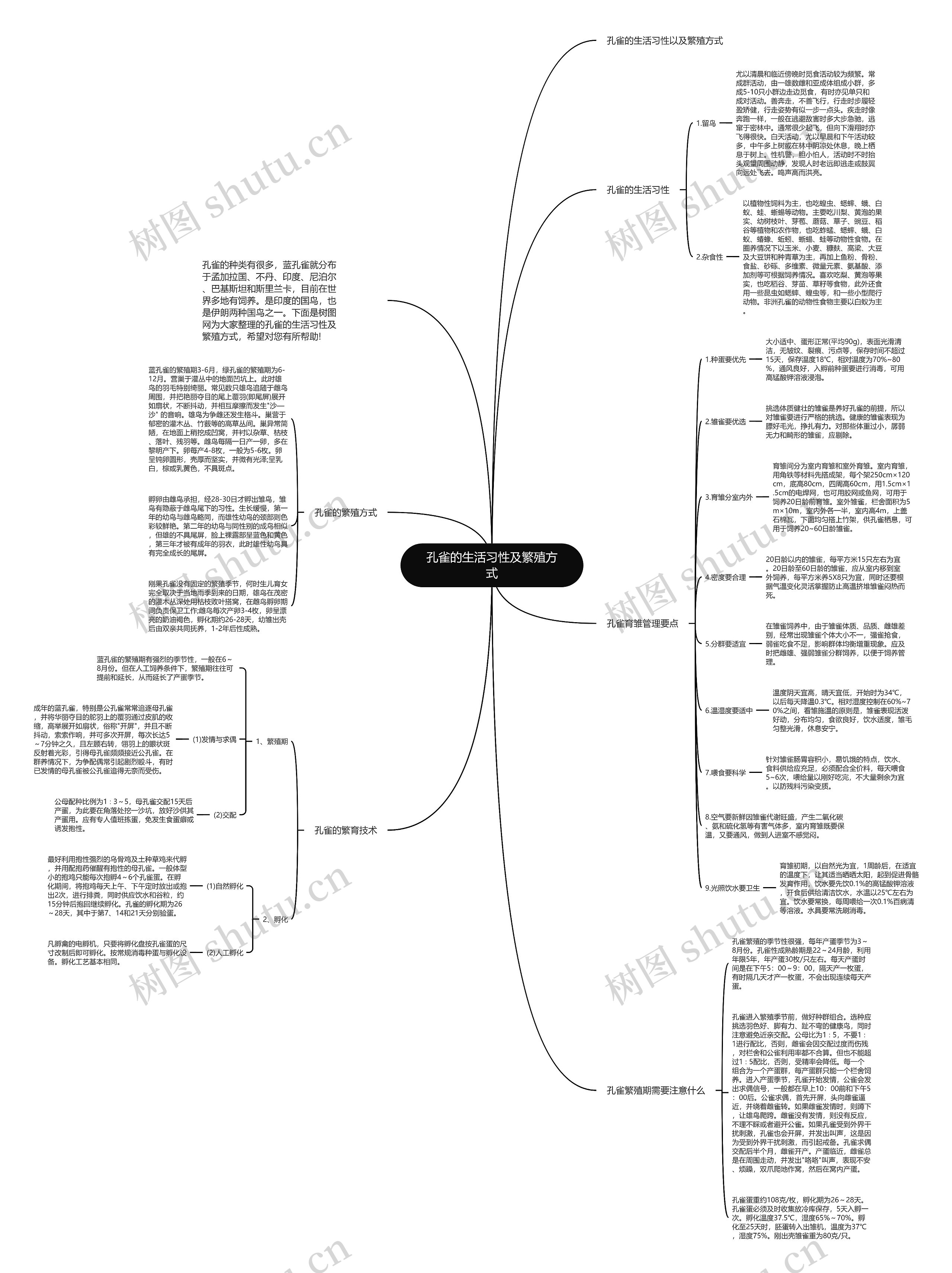 孔雀的生活习性及繁殖方式思维导图