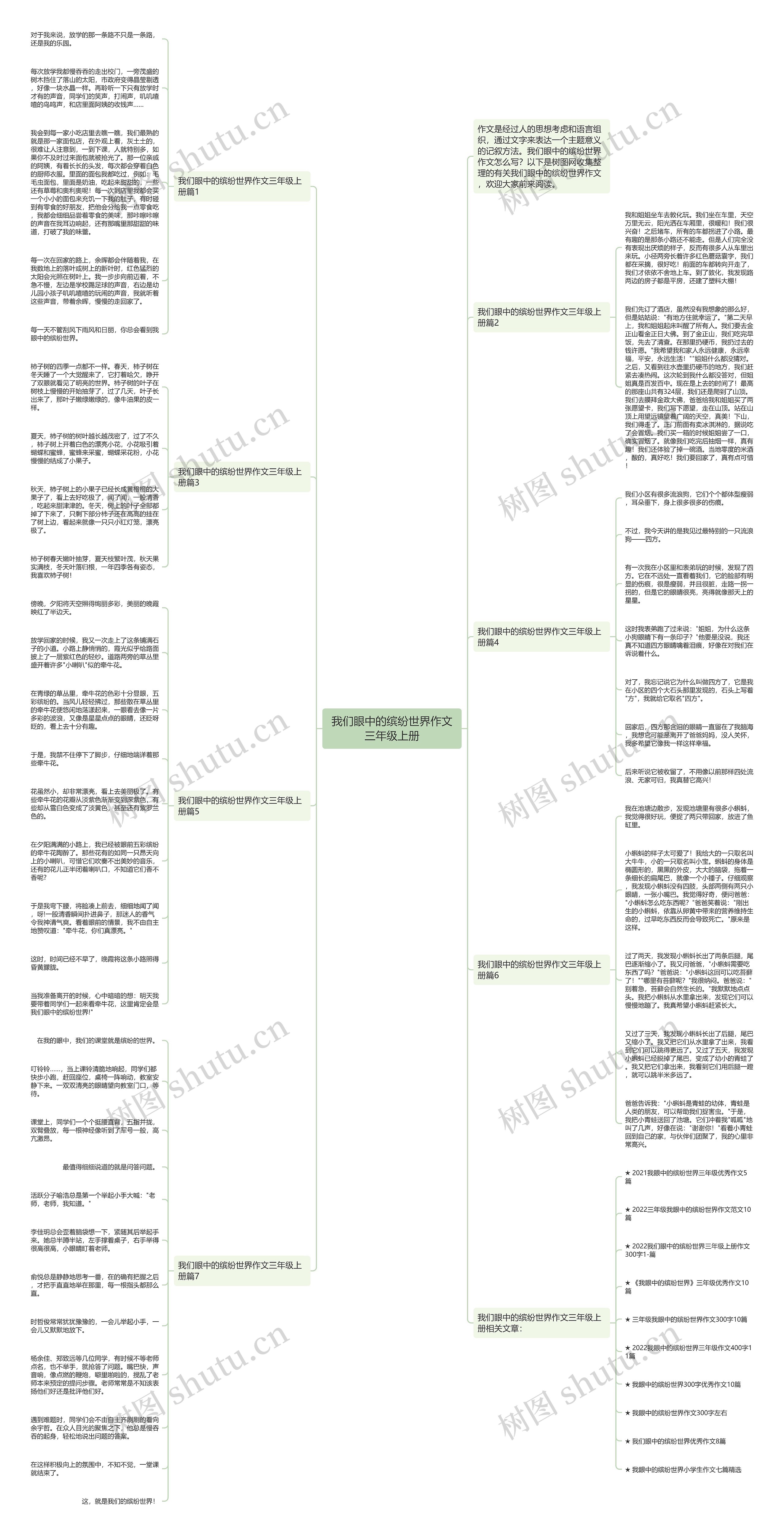 我们眼中的缤纷世界作文三年级上册思维导图