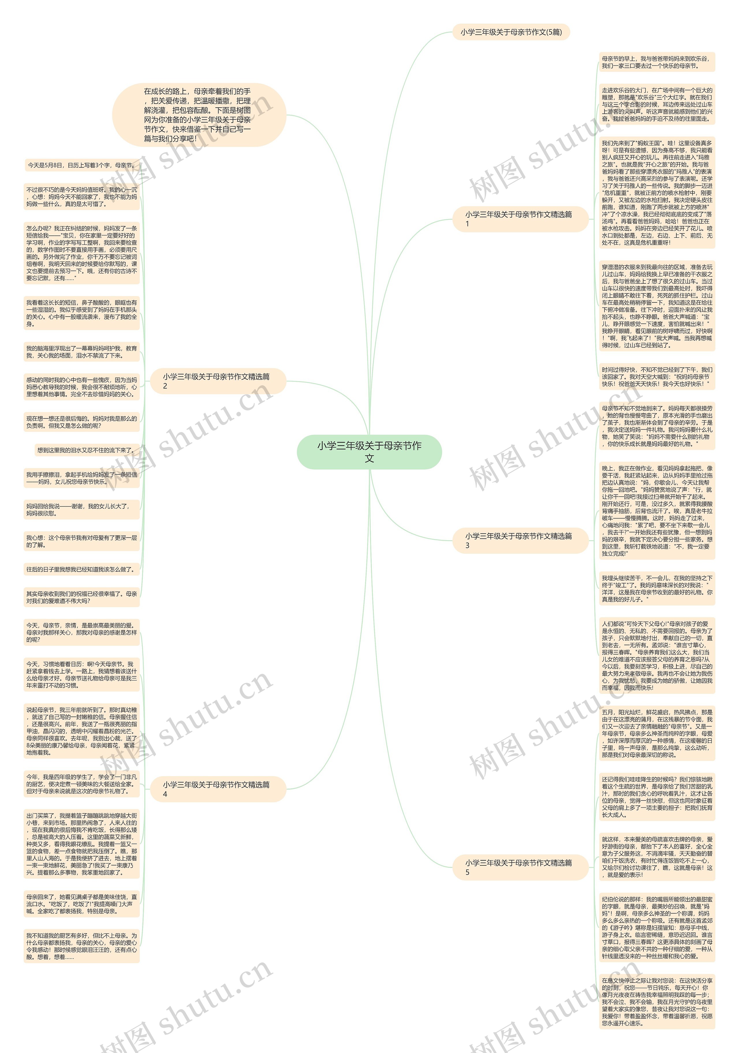 小学三年级关于母亲节作文思维导图