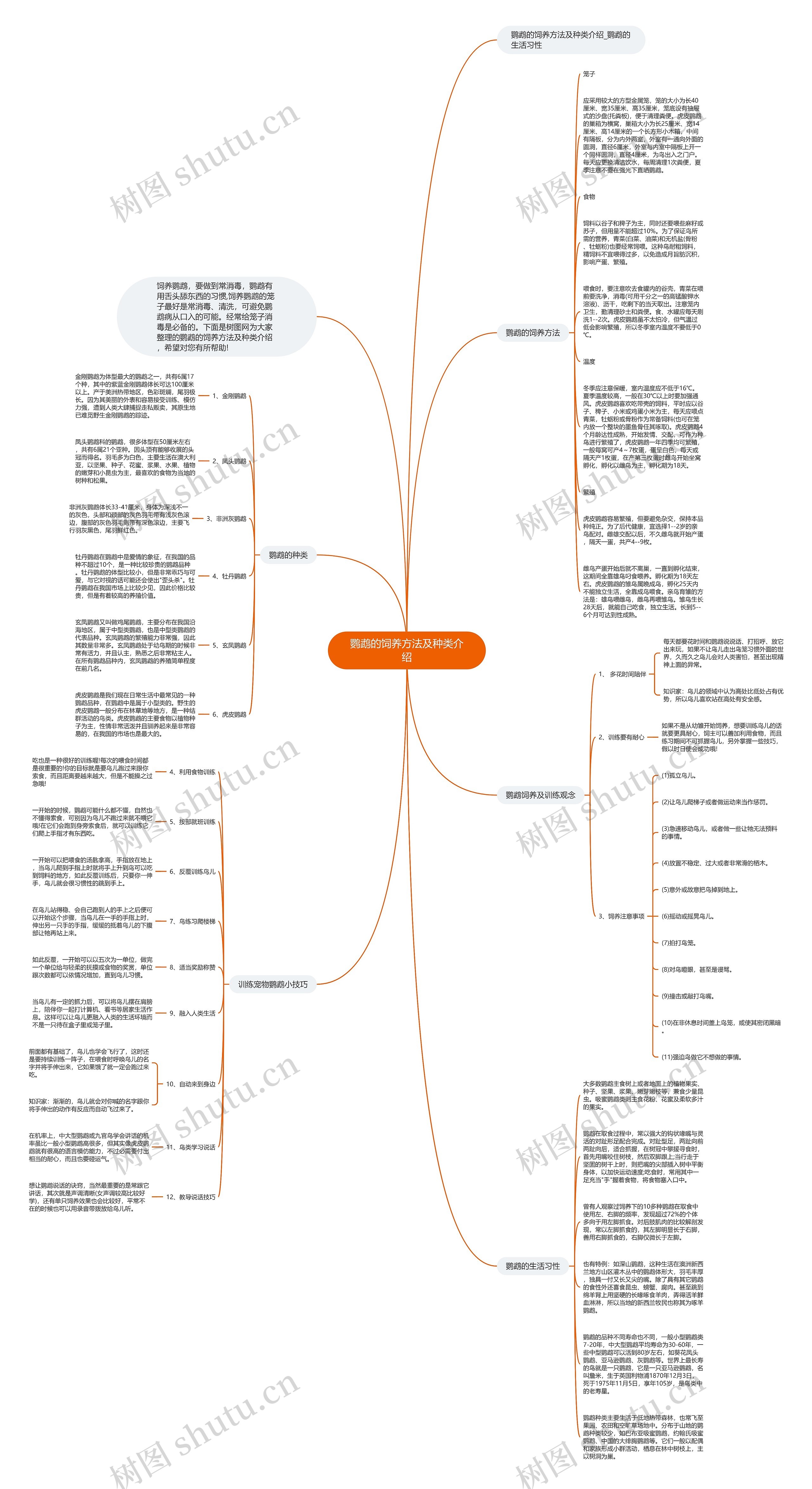 鹦鹉的饲养方法及种类介绍思维导图