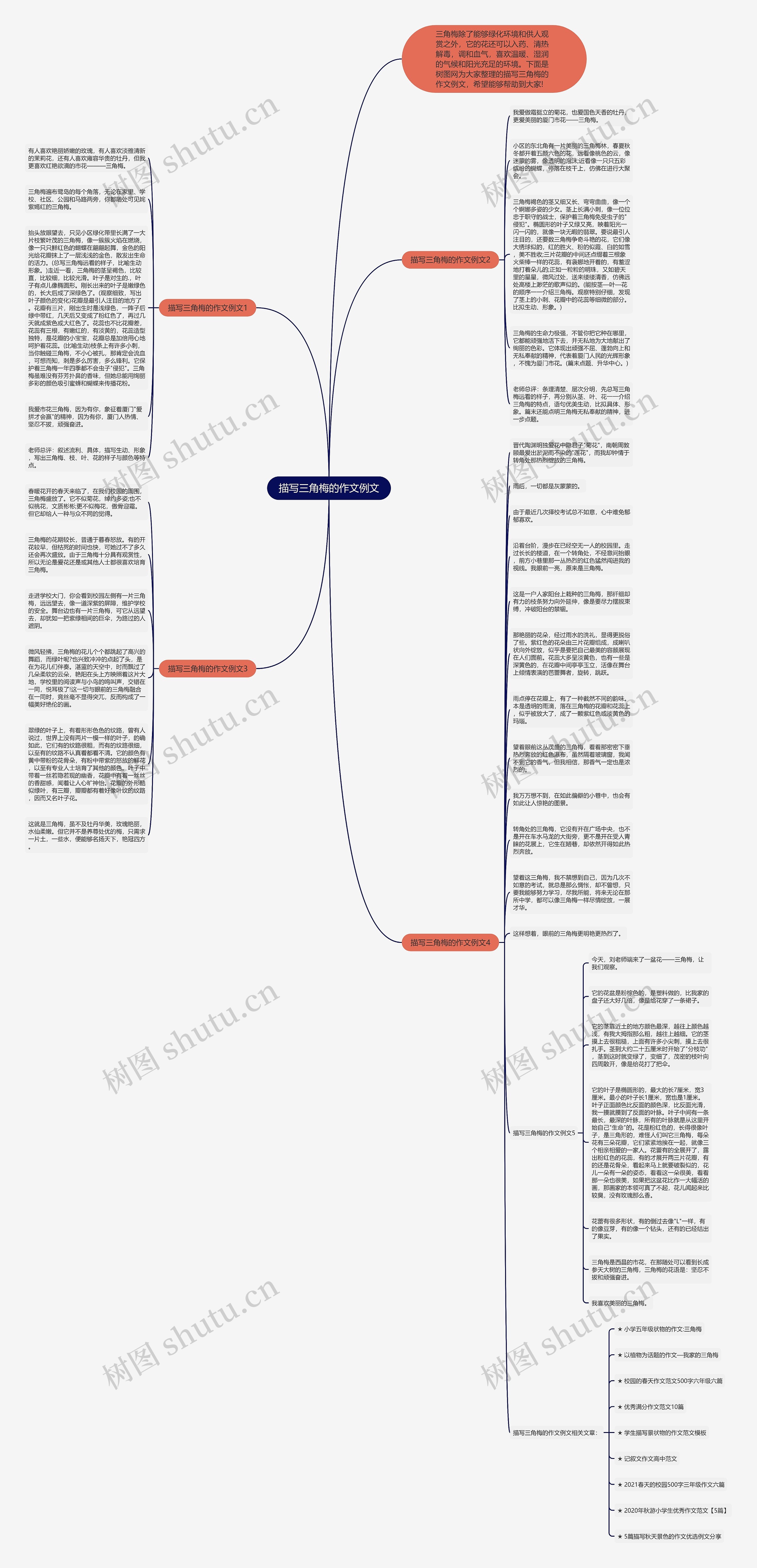 描写三角梅的作文例文思维导图