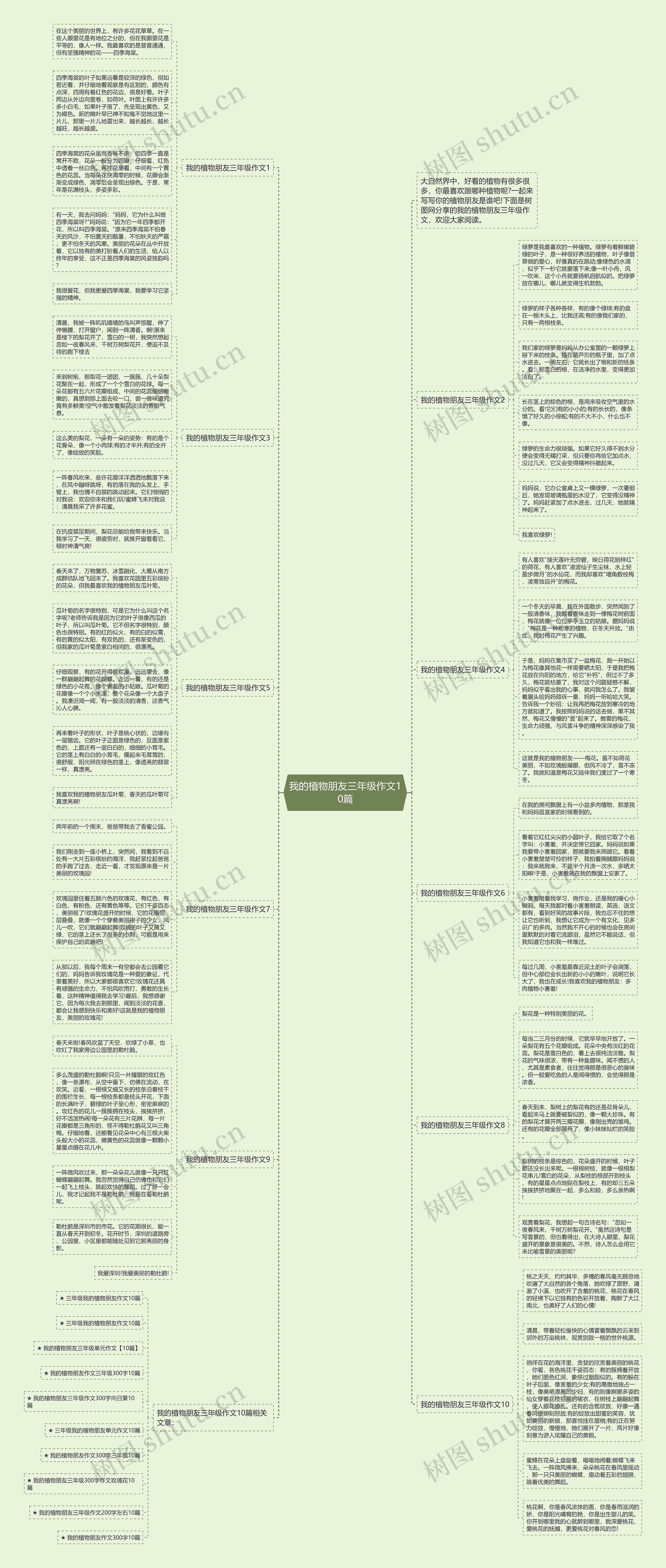我的植物朋友三年级作文10篇思维导图