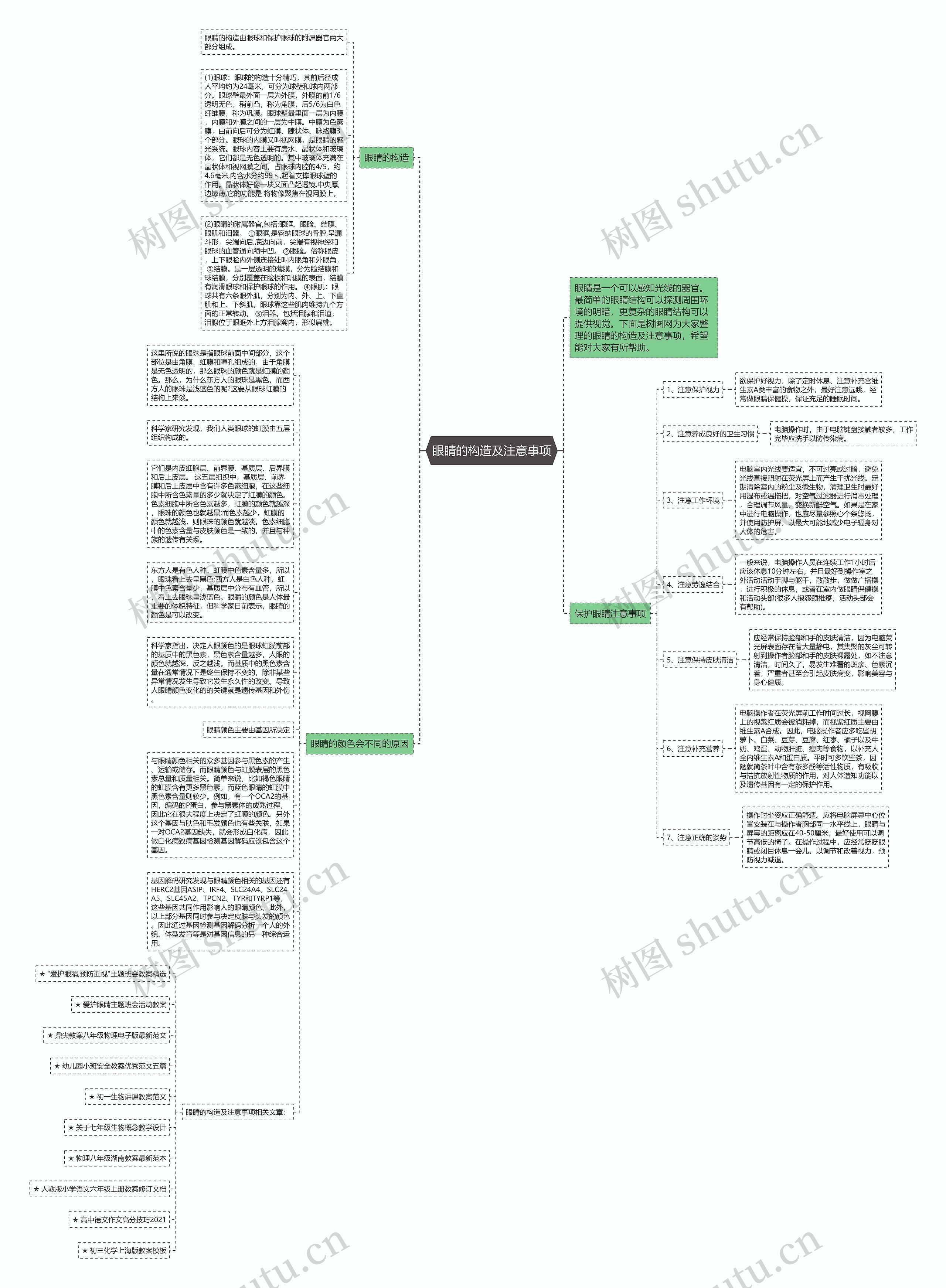 眼睛的构造及注意事项思维导图
