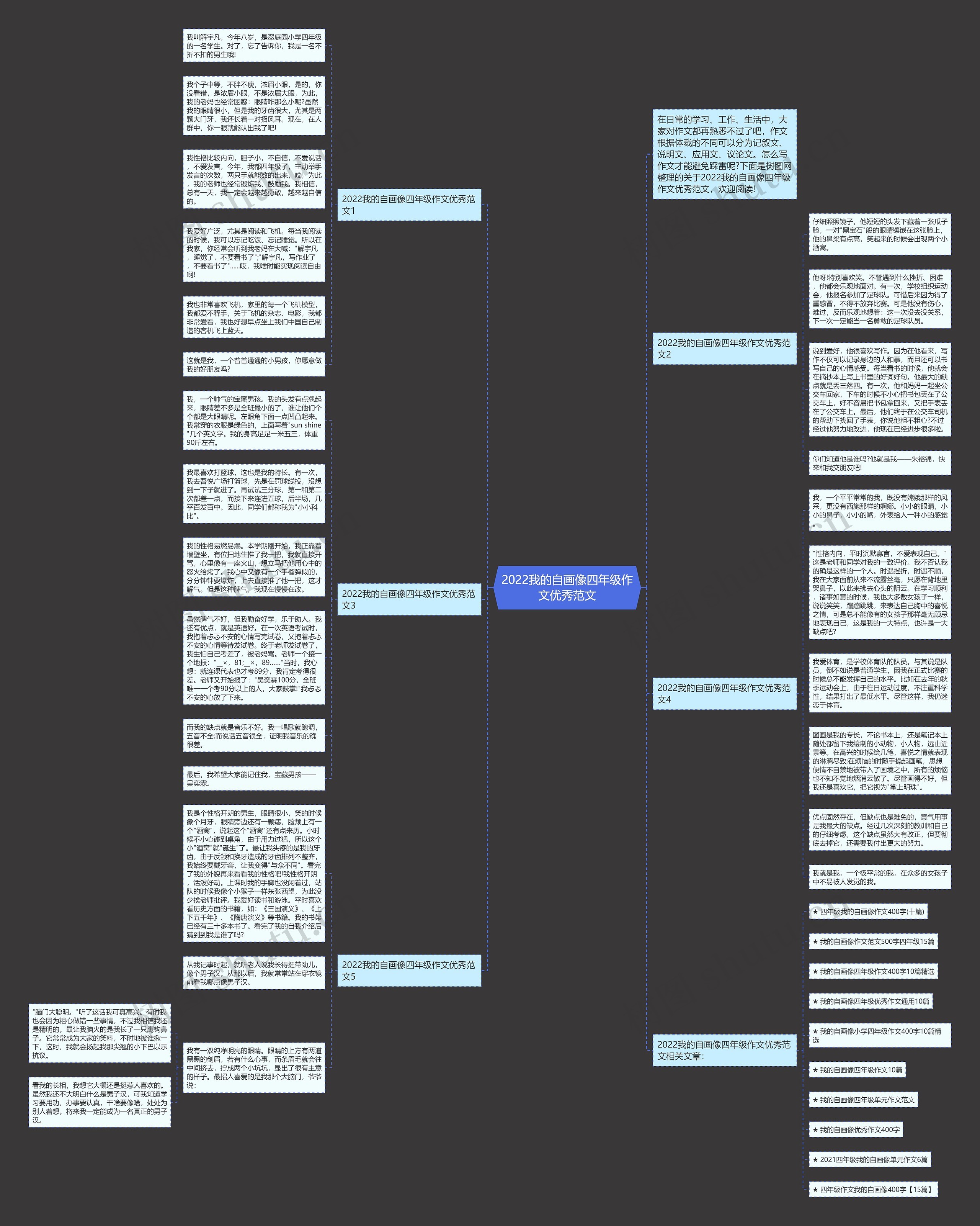 2022我的自画像四年级作文优秀范文思维导图
