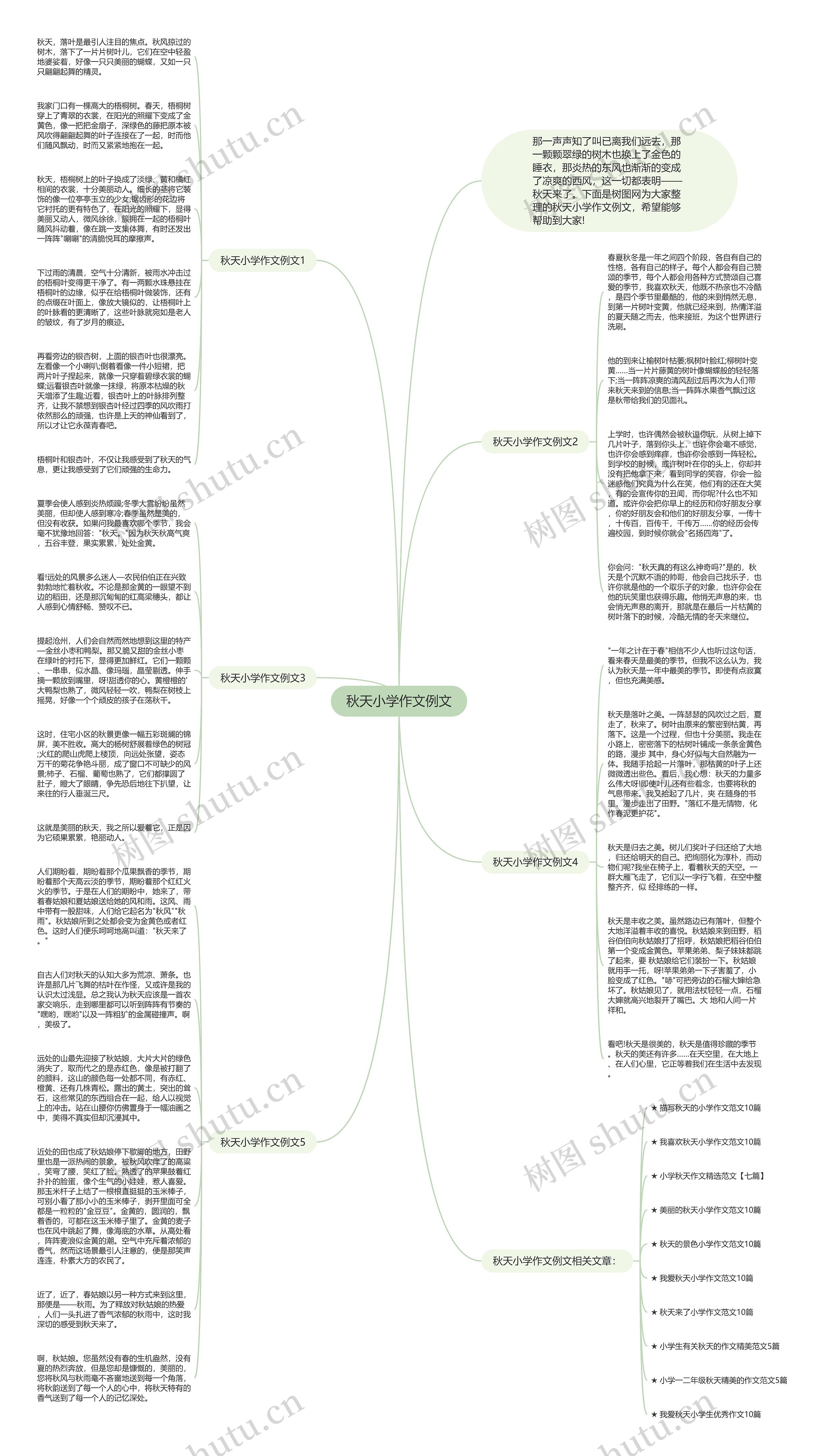 秋天小学作文例文思维导图