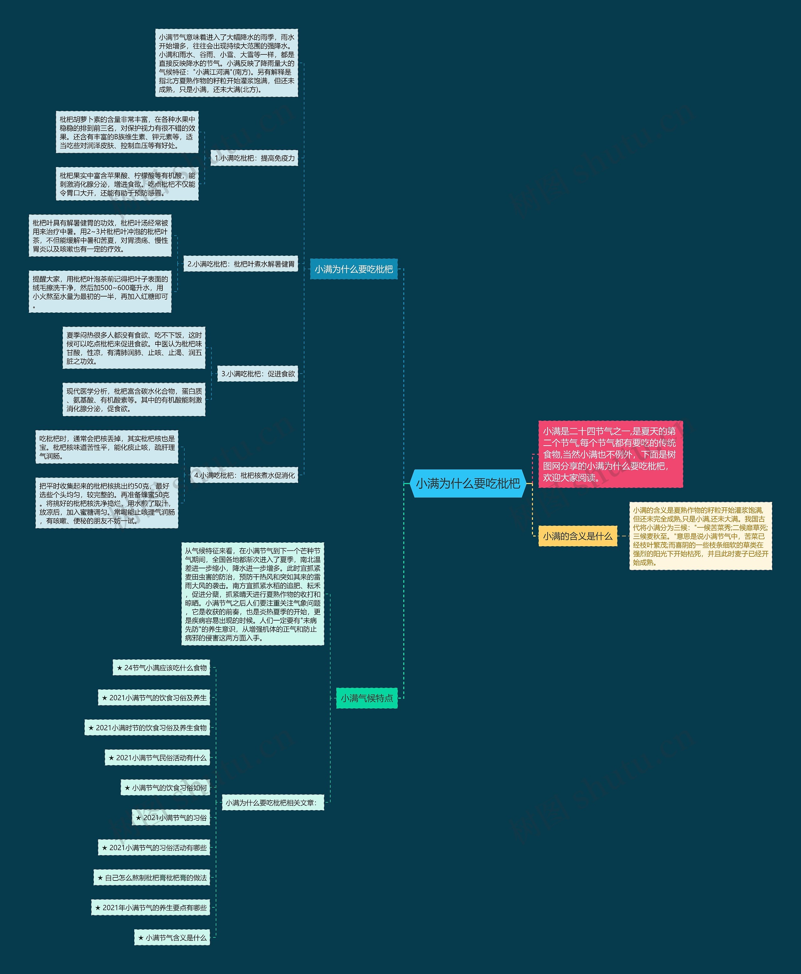 小满为什么要吃枇杷思维导图