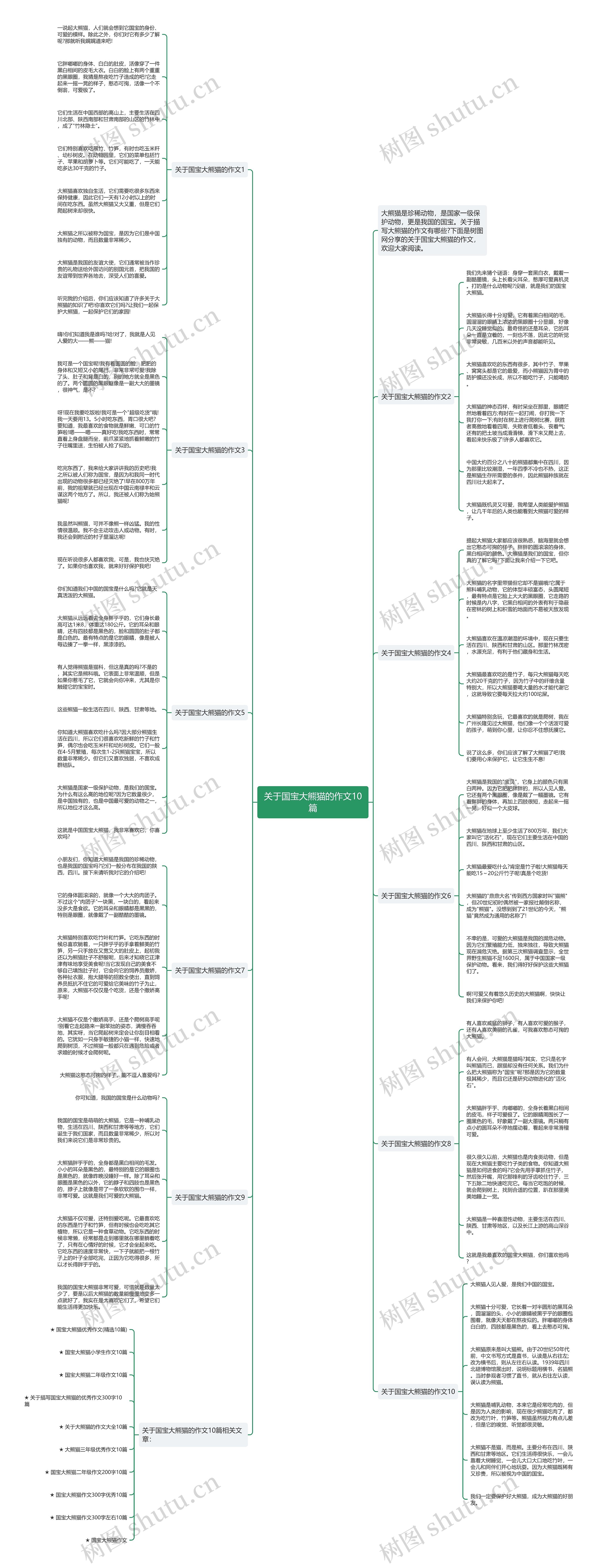 关于国宝大熊猫的作文10篇思维导图