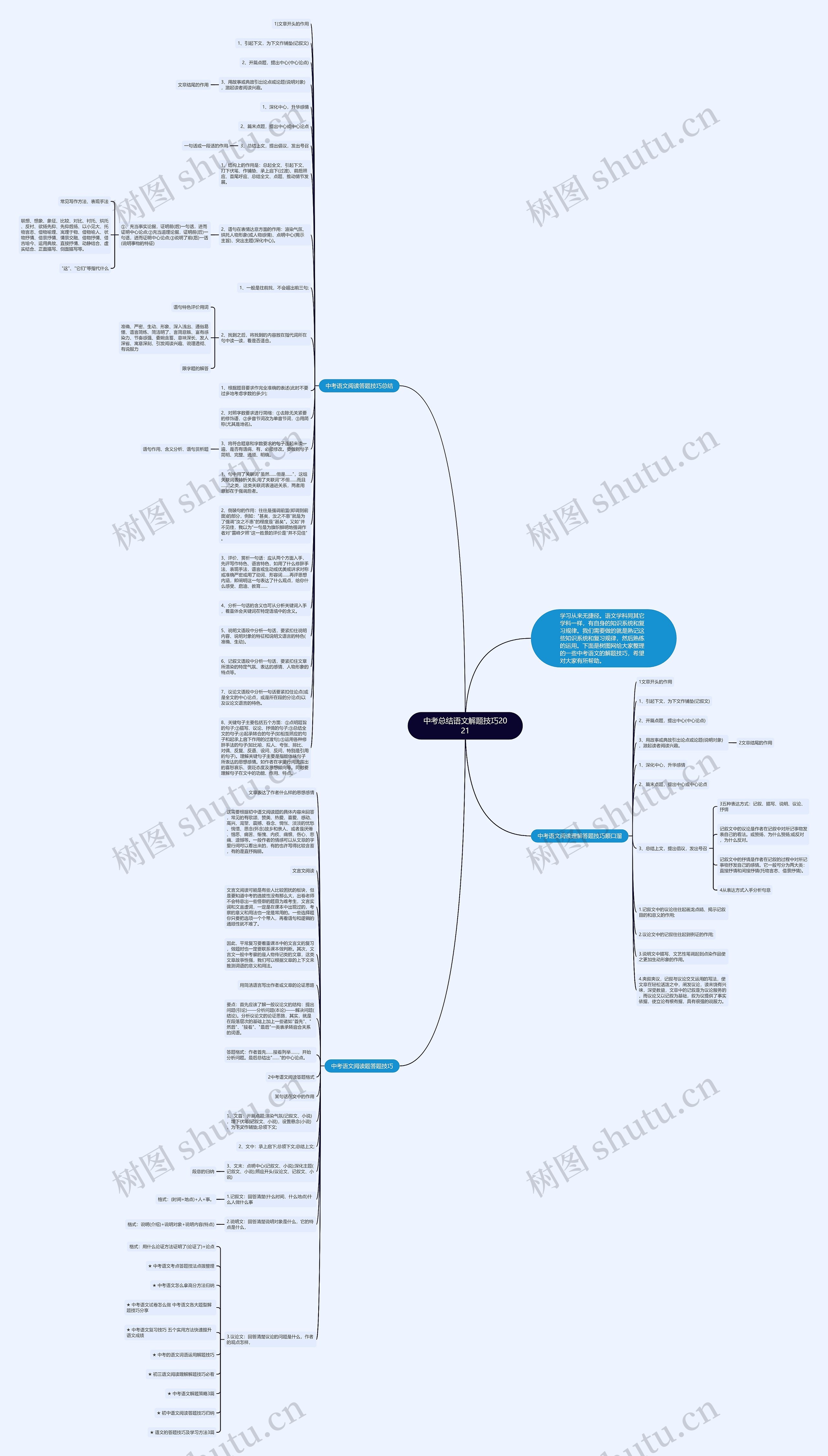 中考总结语文解题技巧2021思维导图