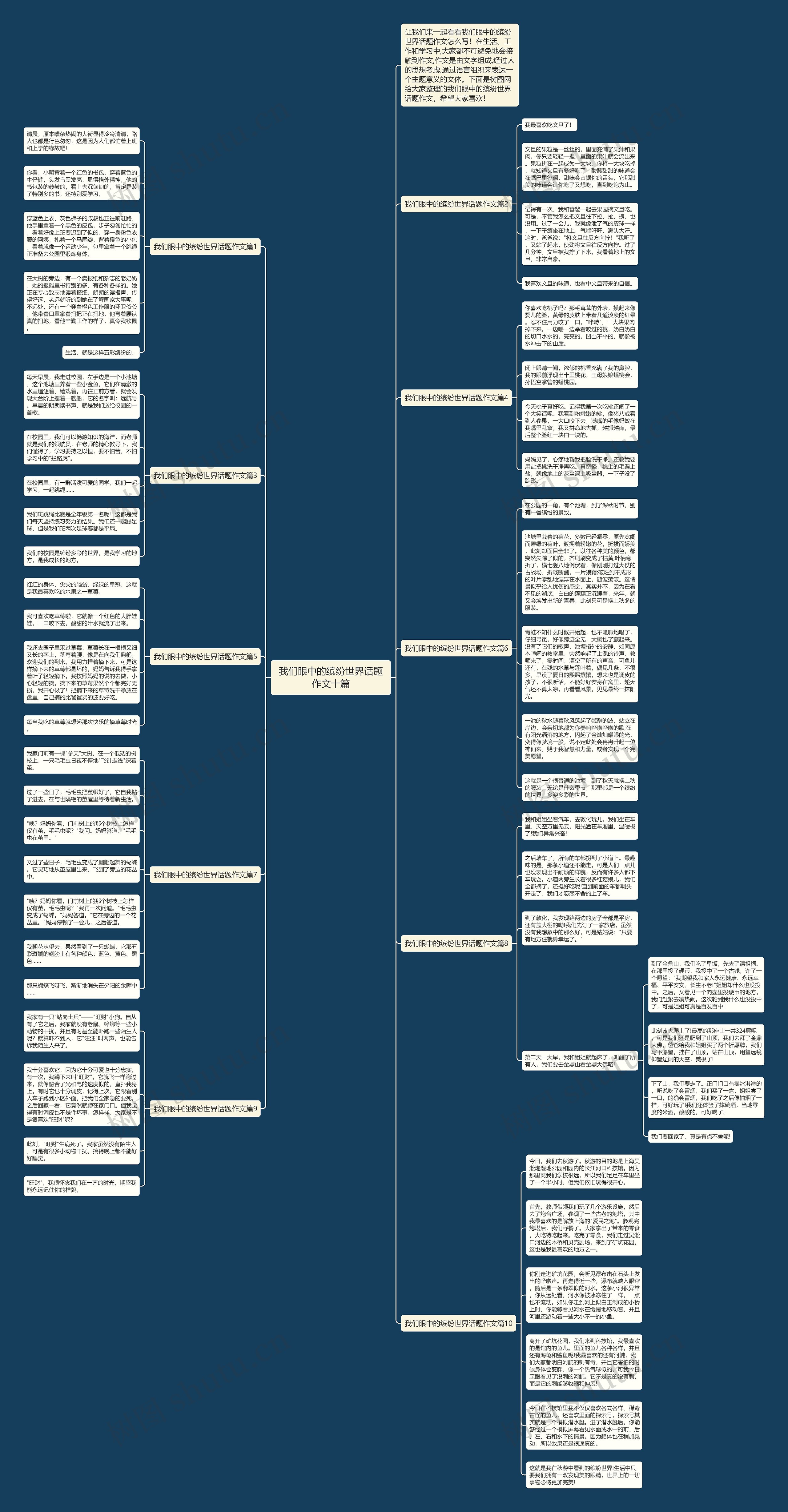 我们眼中的缤纷世界话题作文十篇思维导图